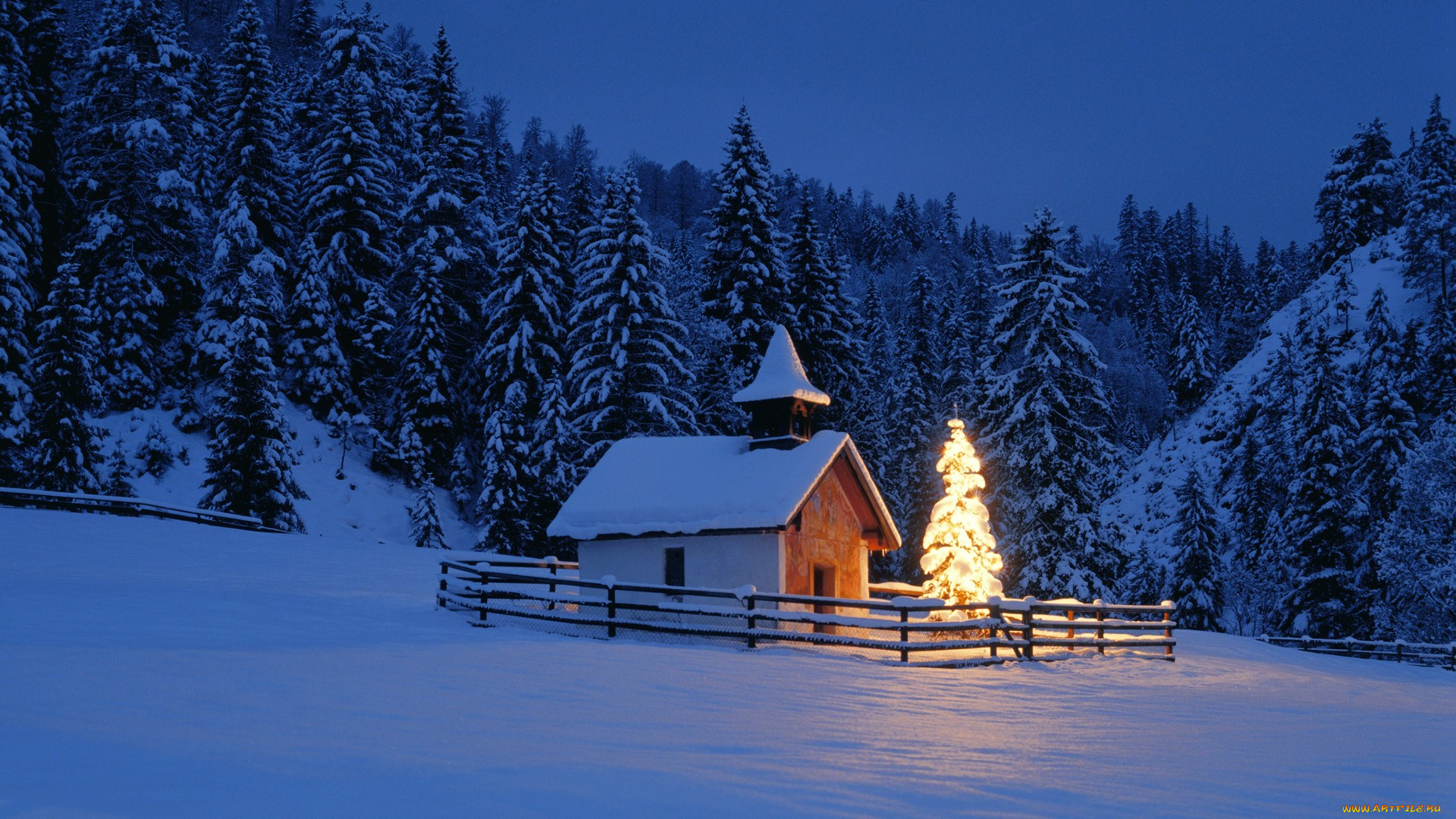 праздничные, новогодние, пейзажи, лес, ёлка, домик, снег, изгородь