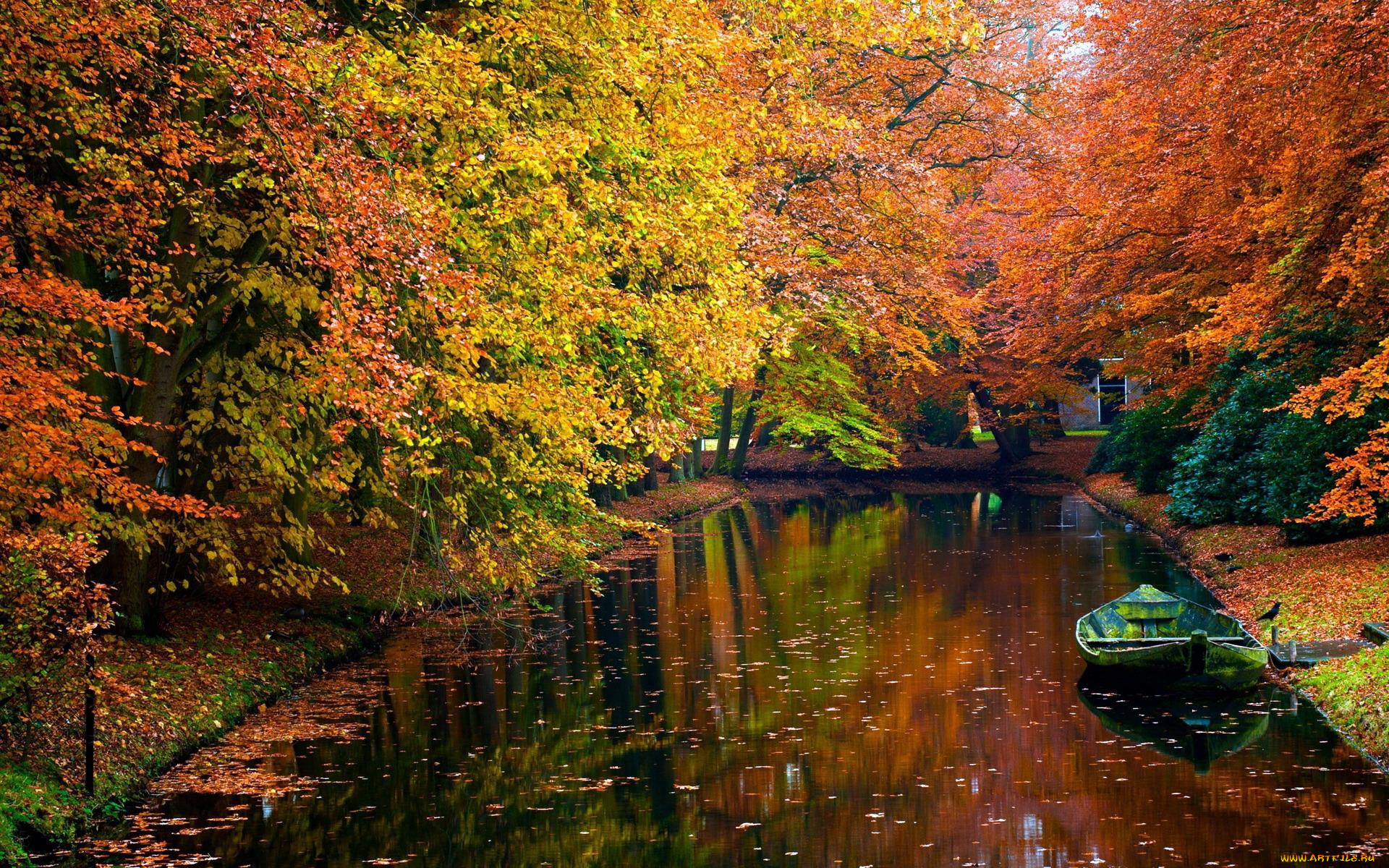 корабли, лодки, , шлюпки, пруд, лодка, листья, осень, деревья