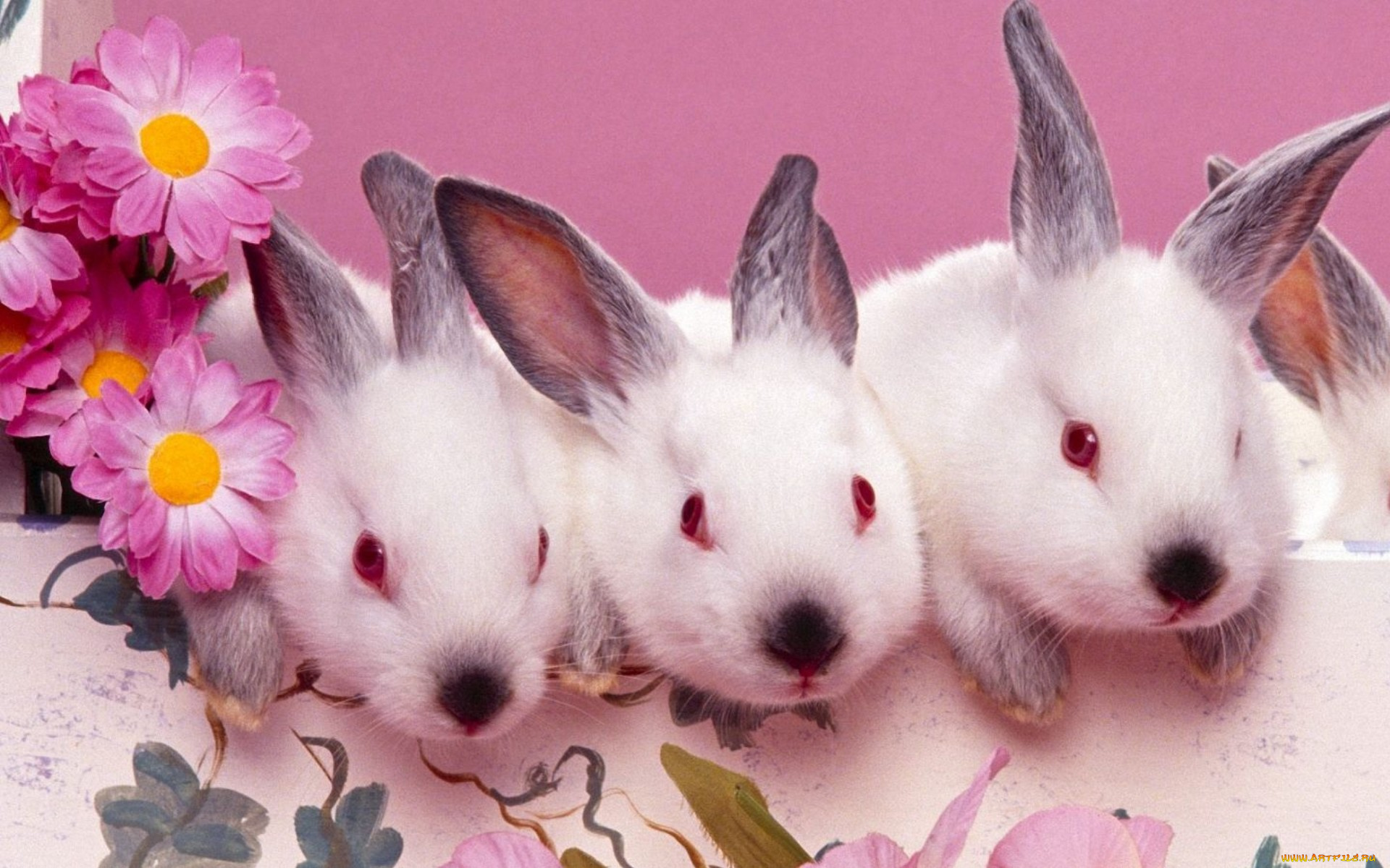 животные, кролики, , зайцы, роспись, цветы