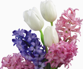 Картинка цветы букеты композиции тюльпаны
