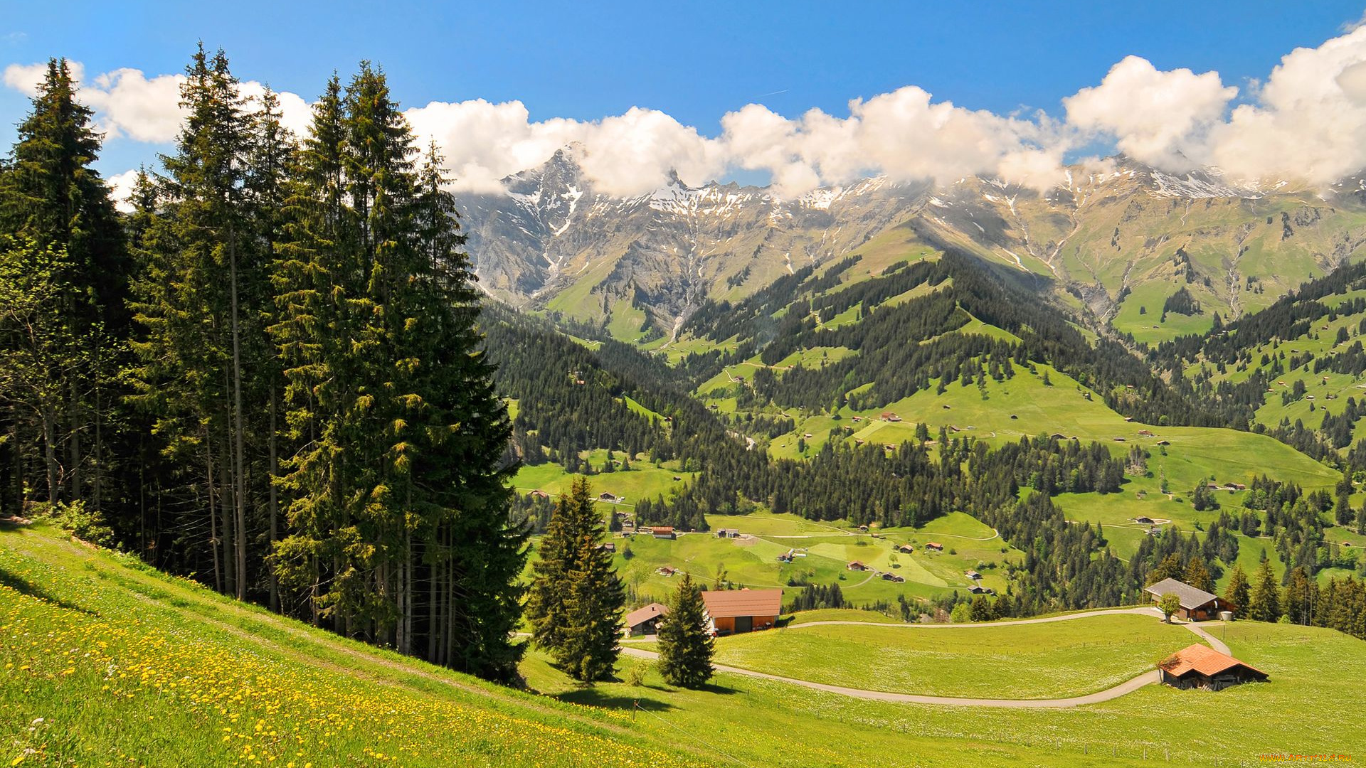 switzerland, природа, пейзажи, домики, деревья, швейцария, горы, луг, облака