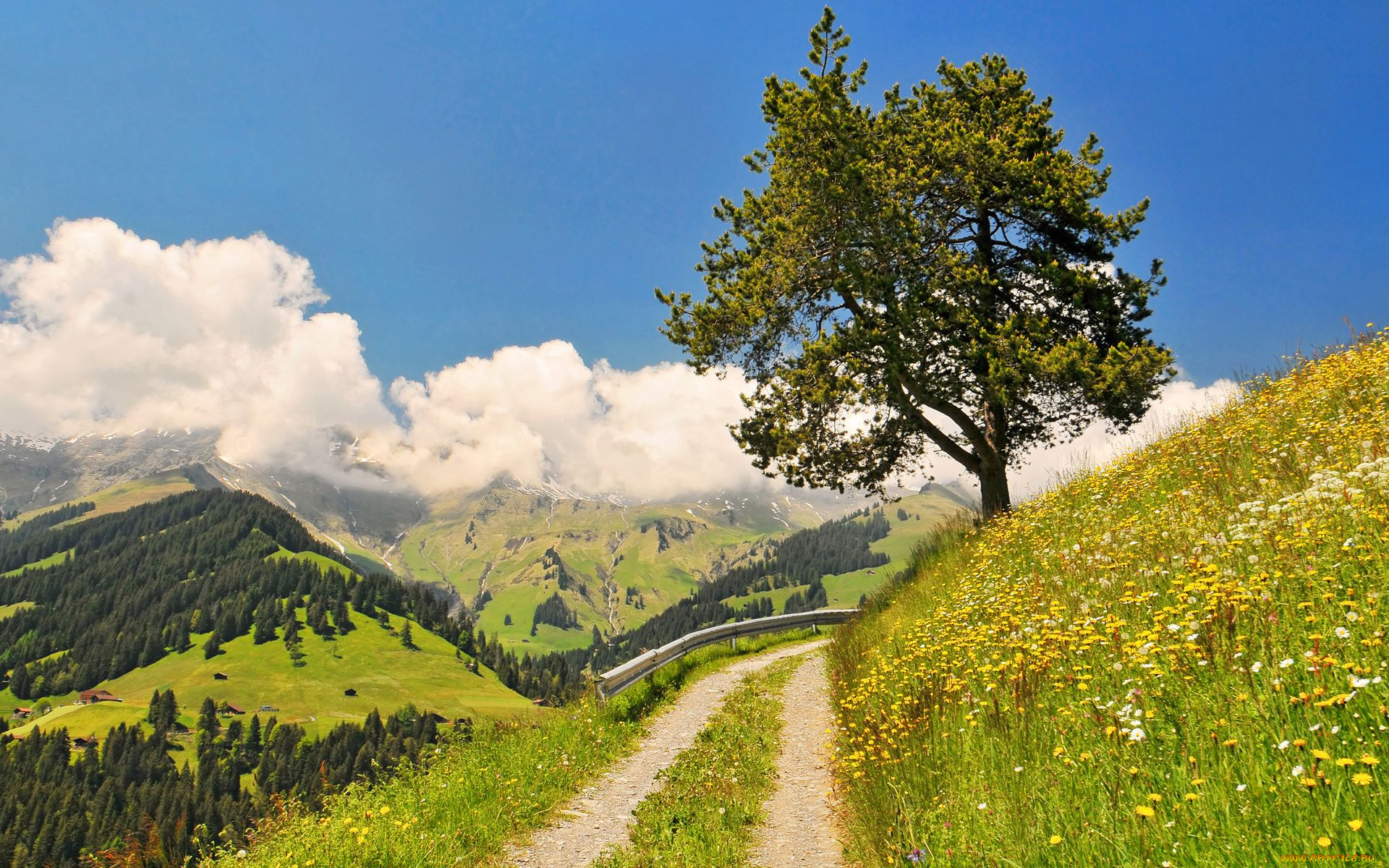 switzerland, природа, дороги, пейзаж, дерево, цветы, горы, облака, швейцария