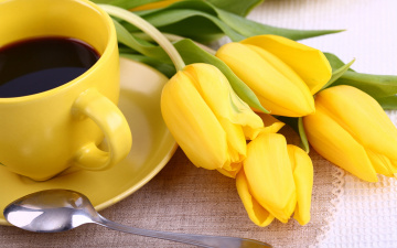 Картинка еда кофе +кофейные+зёрна coffee breakfast tulips cup flowers yellow