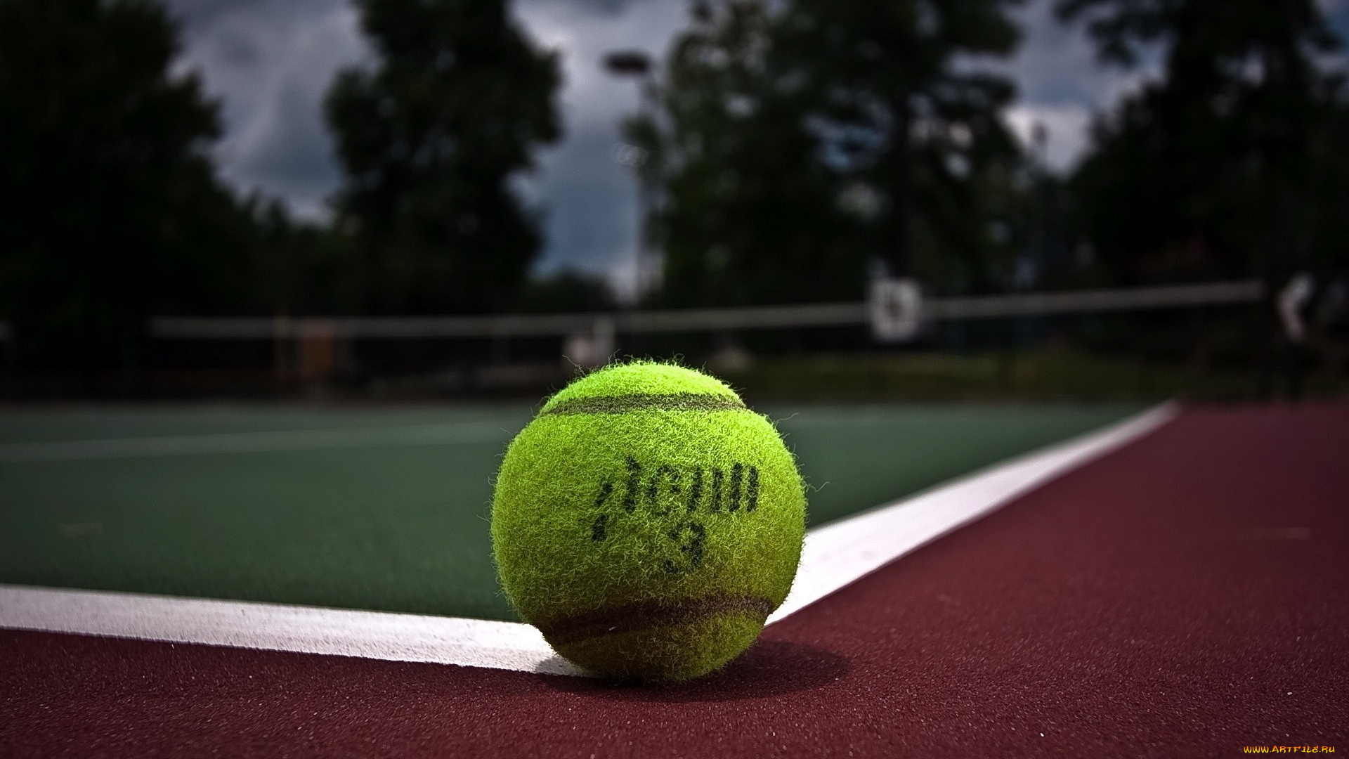 спорт, теннис, корт, мяч