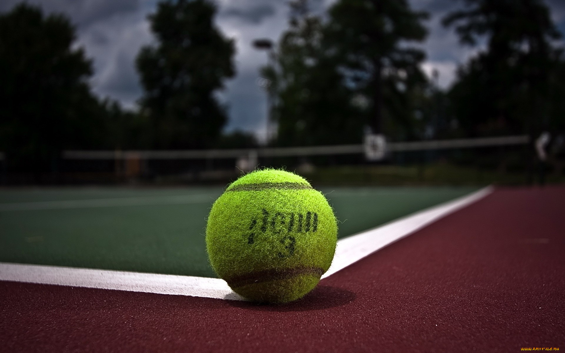 спорт, теннис, корт, мяч