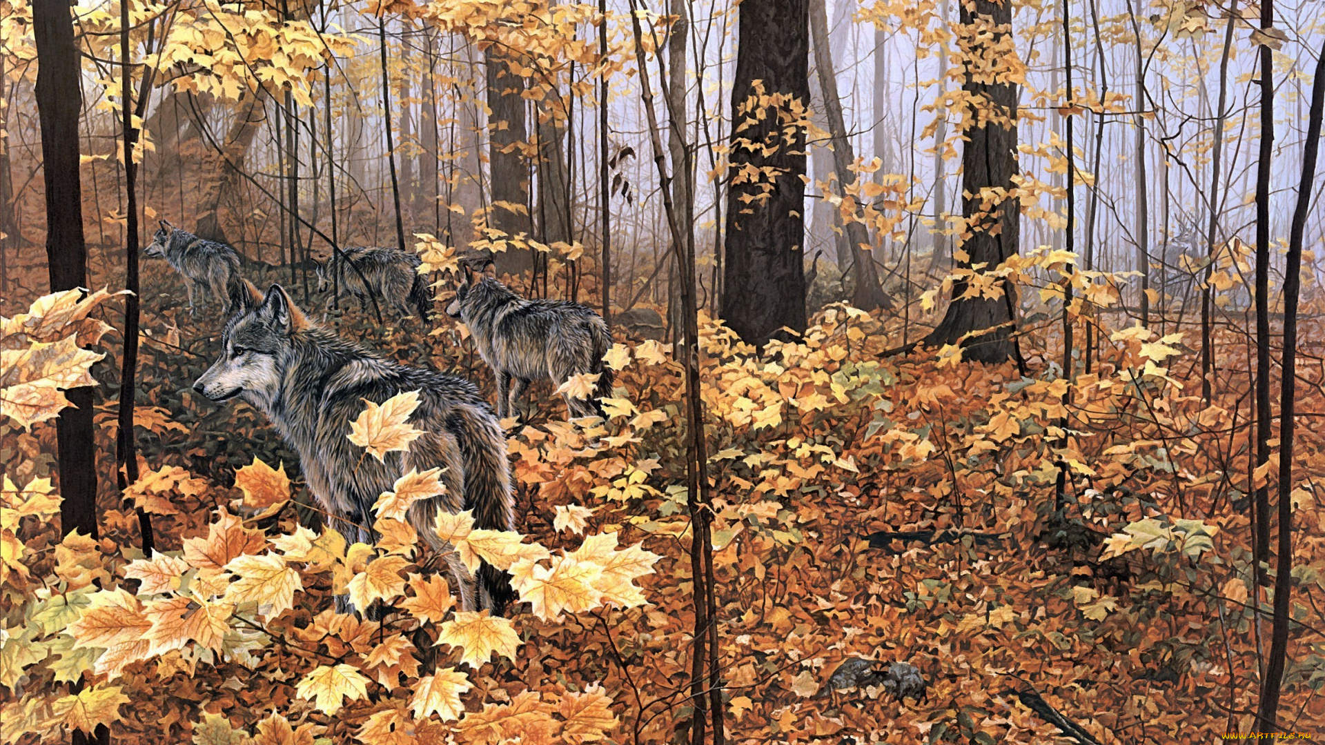 ron, parker, autumn, maples, рисованные, ronald, желтые, листья, волки, лес, природа, клён, животные, осень