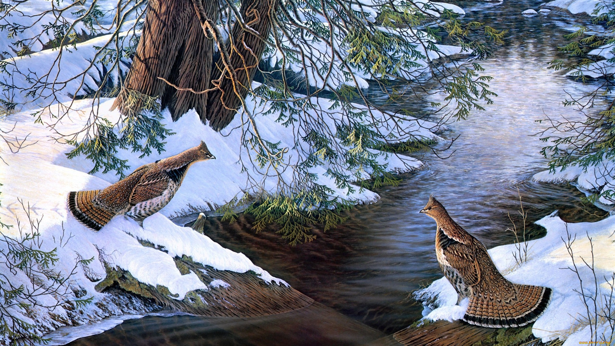 chance, encounter, рисованные, sam, timm, птицы, снег, река