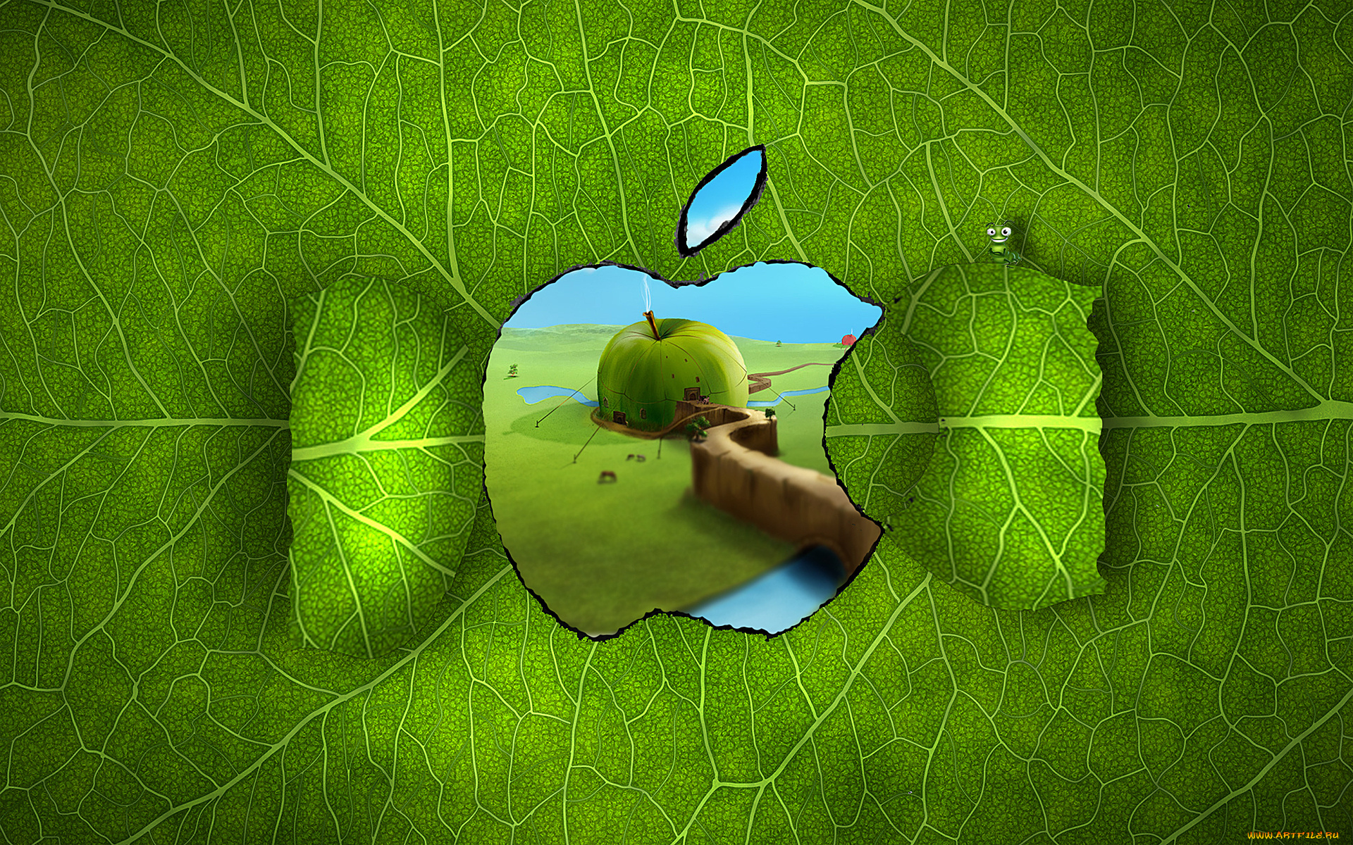 компьютеры, apple, дом, гусеница, яблоко, зелень, канаты, прожилки, окно, лист