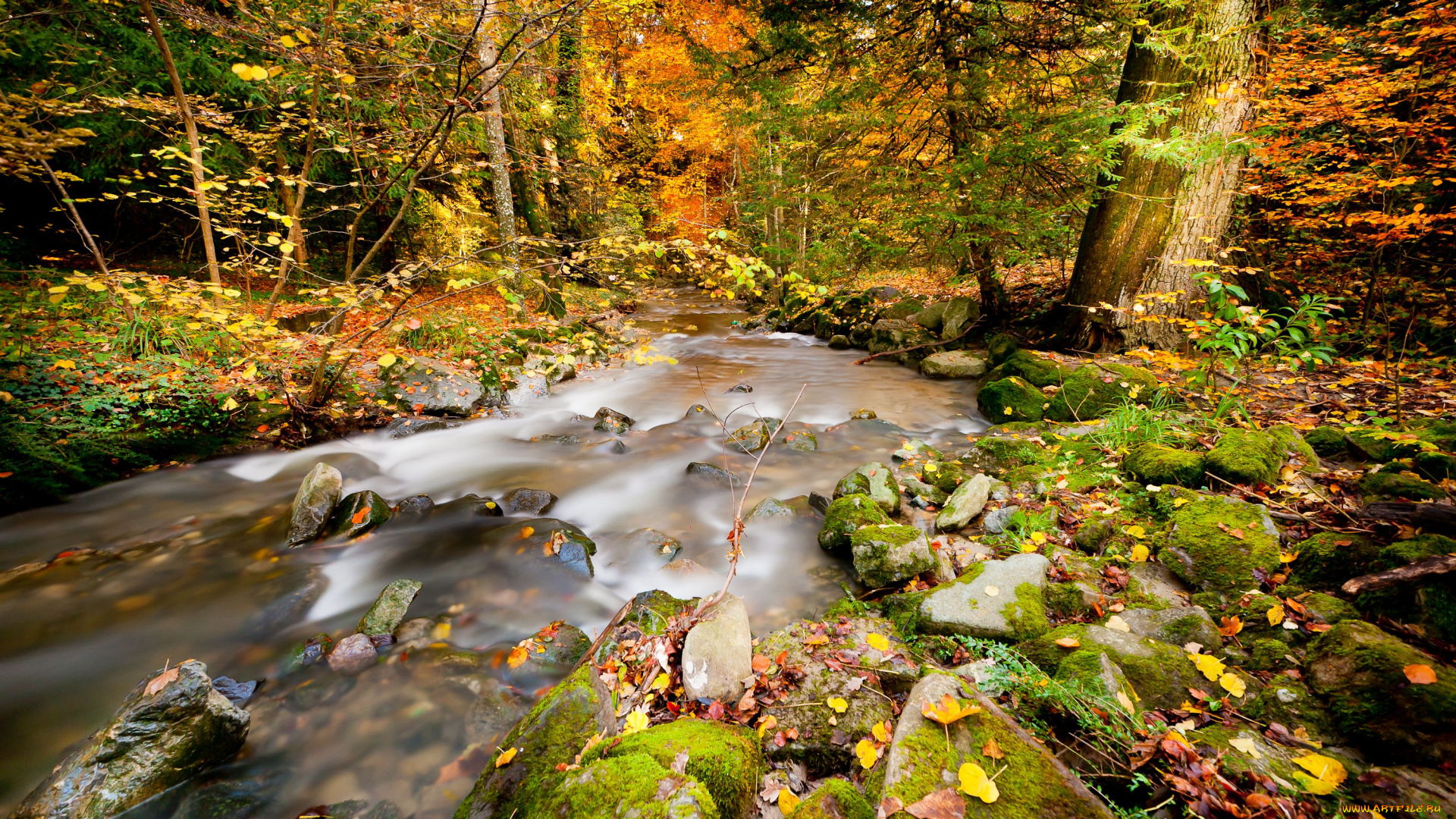 природа, реки, озера, река, лес, пейзаж, осень