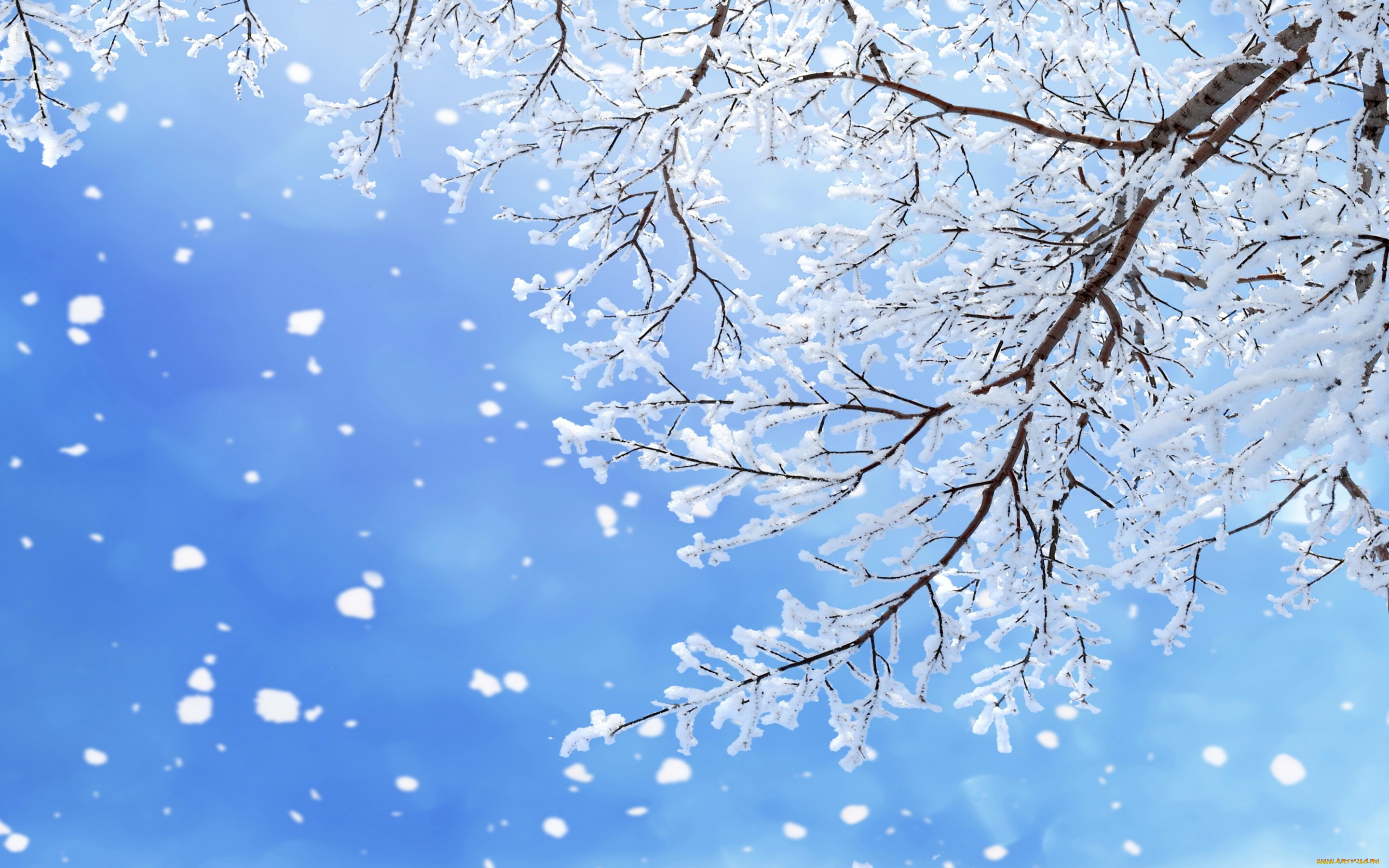 природа, зима, snow, winter, снежинки, снег, деревья, nature