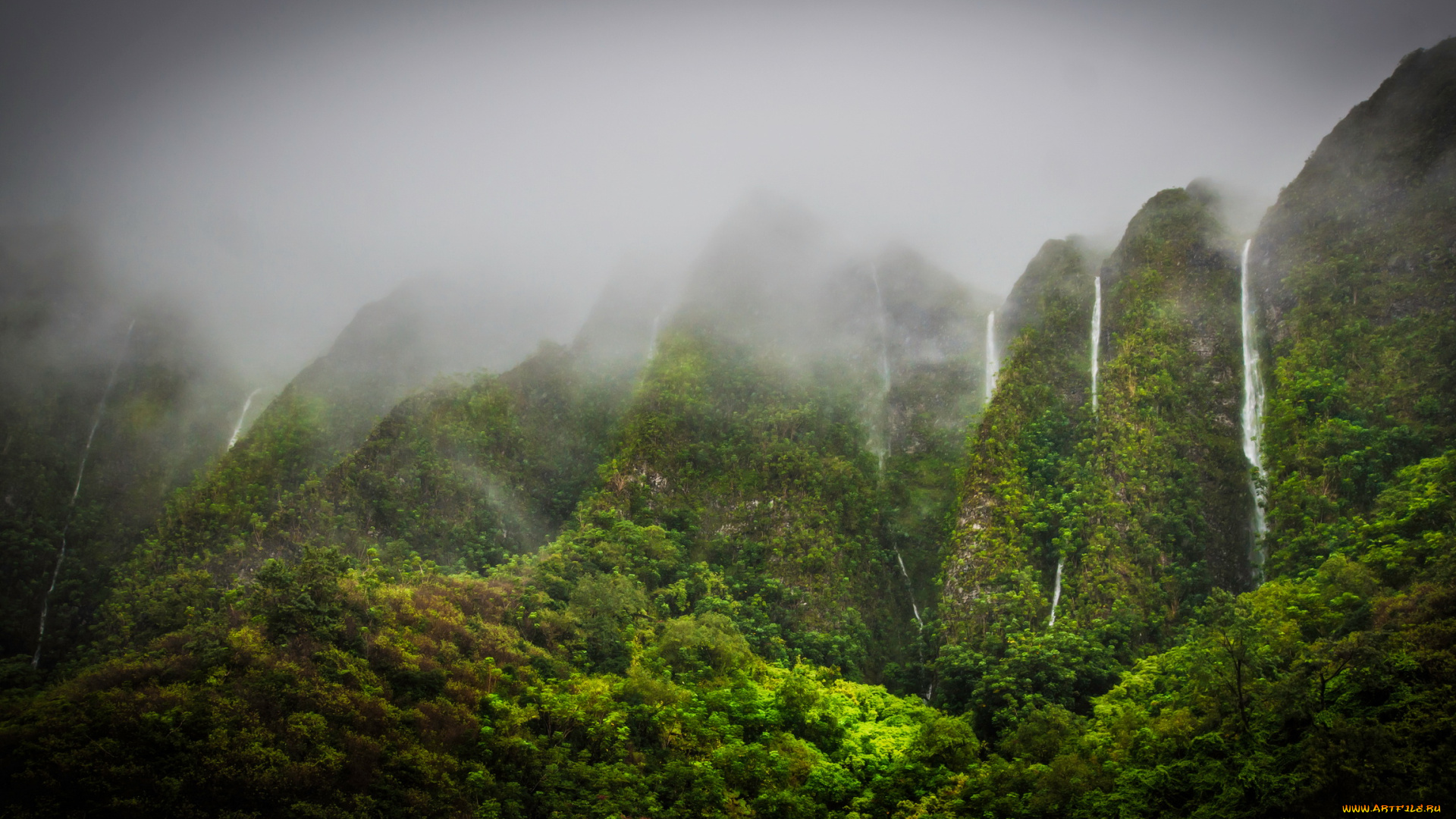 waterfalls, in, the, jungle, highlands, oahu, hawaii, природа, водопады, джунгли, водопад, туман