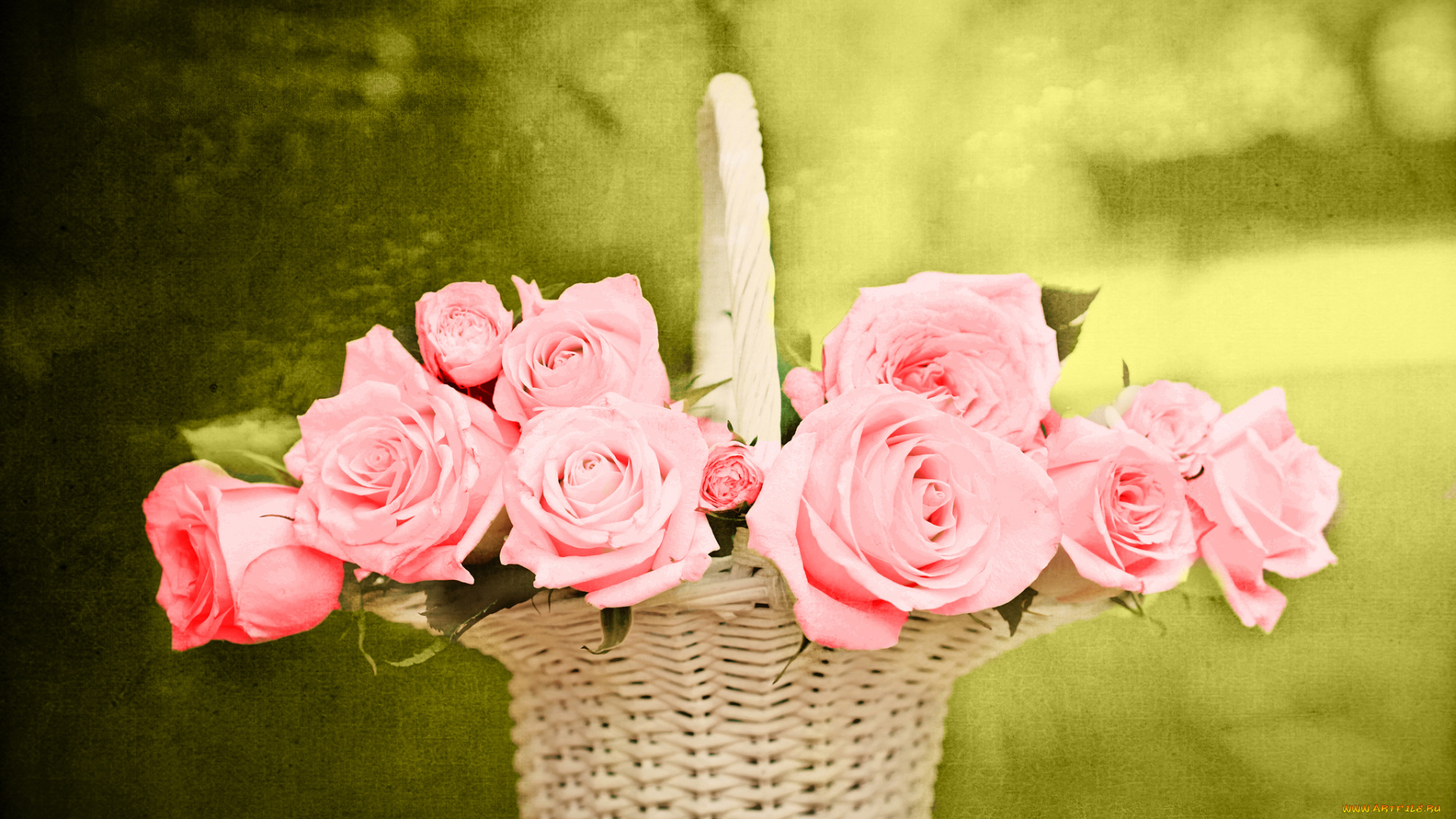 цветы, розы, корзина, розовые