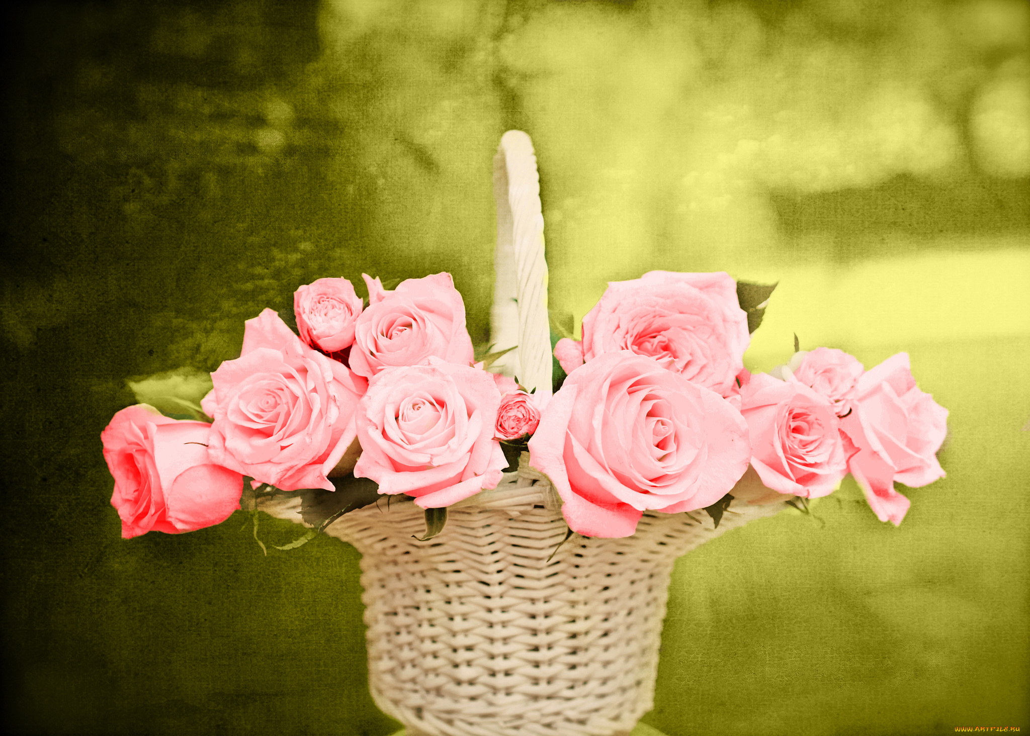 цветы, розы, корзина, розовые