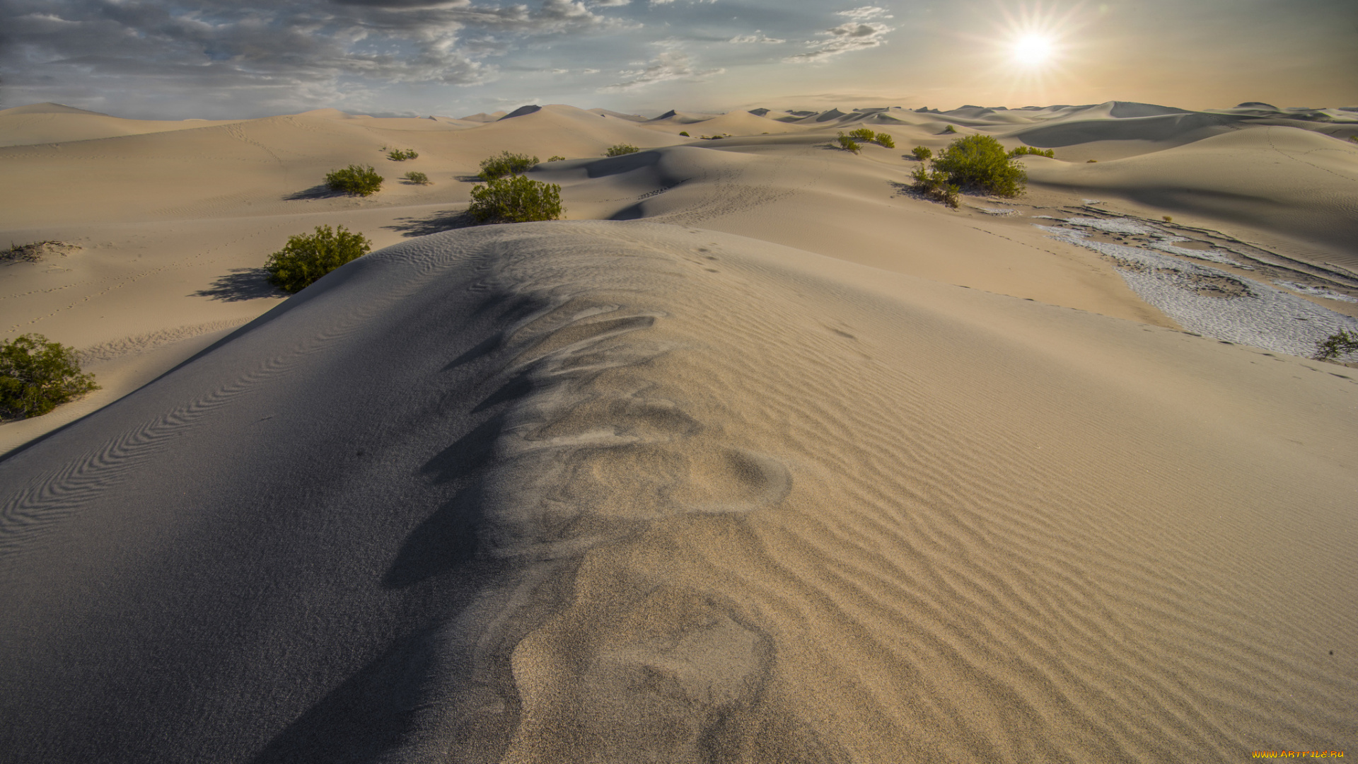 природа, пустыни, солнце, дюны, песок