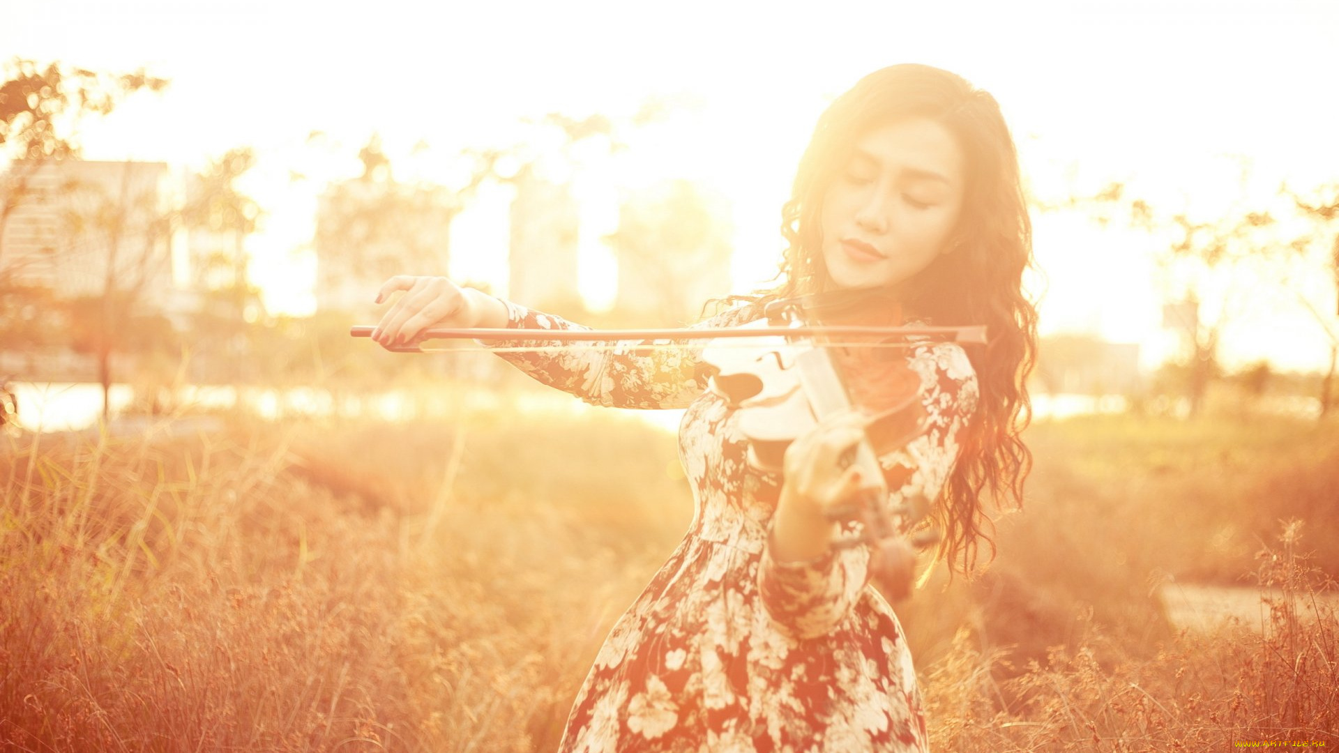 музыка, -другое, скрипка, девушка