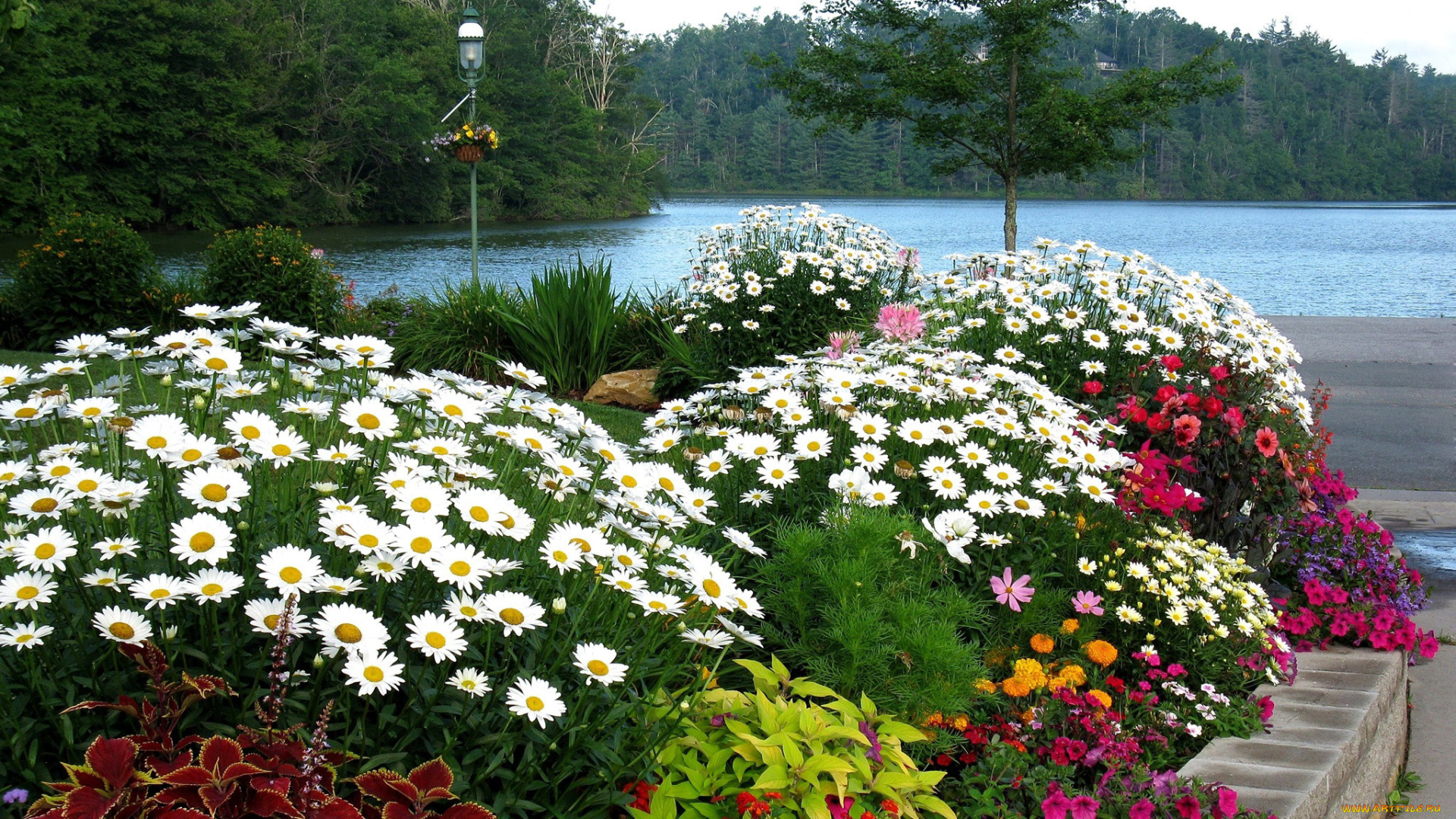 природа, парк, цветы, фонарь, клумбы, озеро