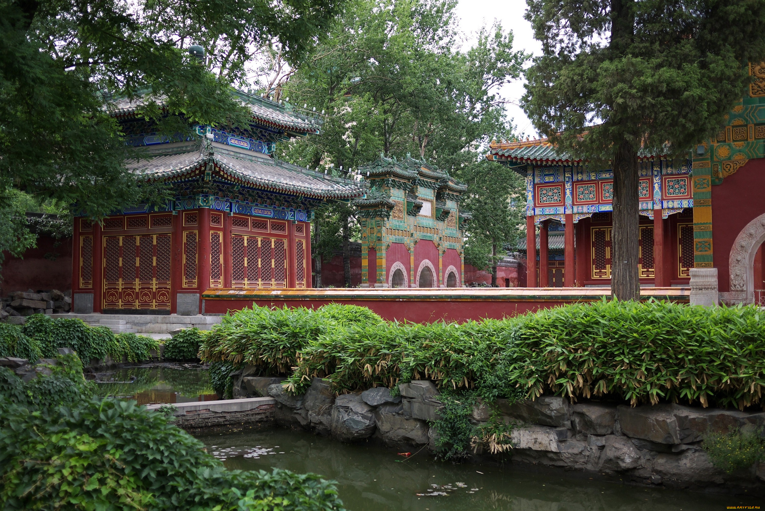 парк, бэйхай, пекин, природа, пагоды, деревья, пруд