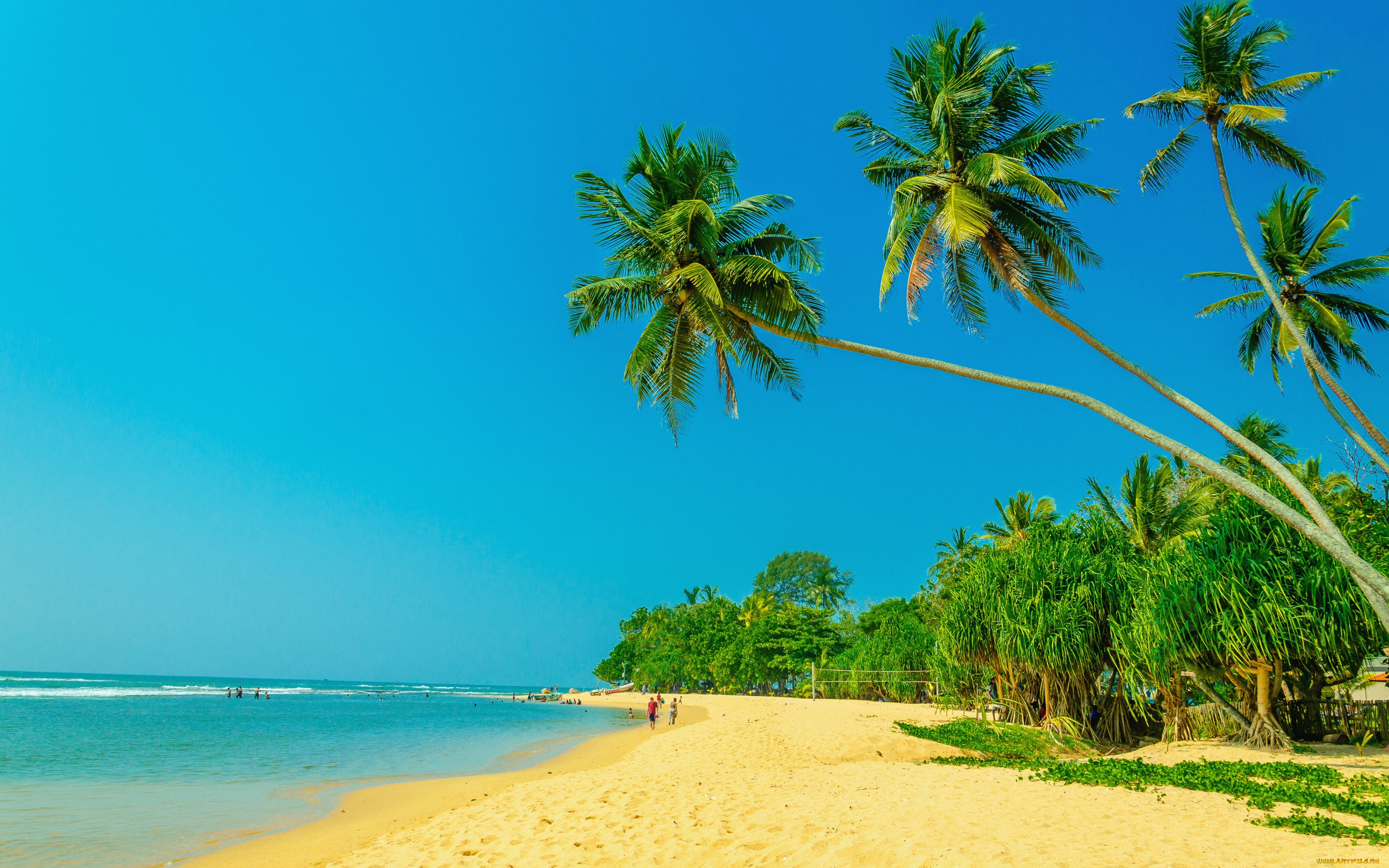 природа, тропики, paradise, пальмы, tropical, sand, beach, summer, песок, shore, берег, море, пляж, palms, sea