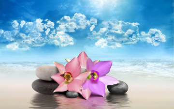 Картинка разное компьютерный+дизайн flowers sea sky rocks spa природа цветы nature камни небо море спа