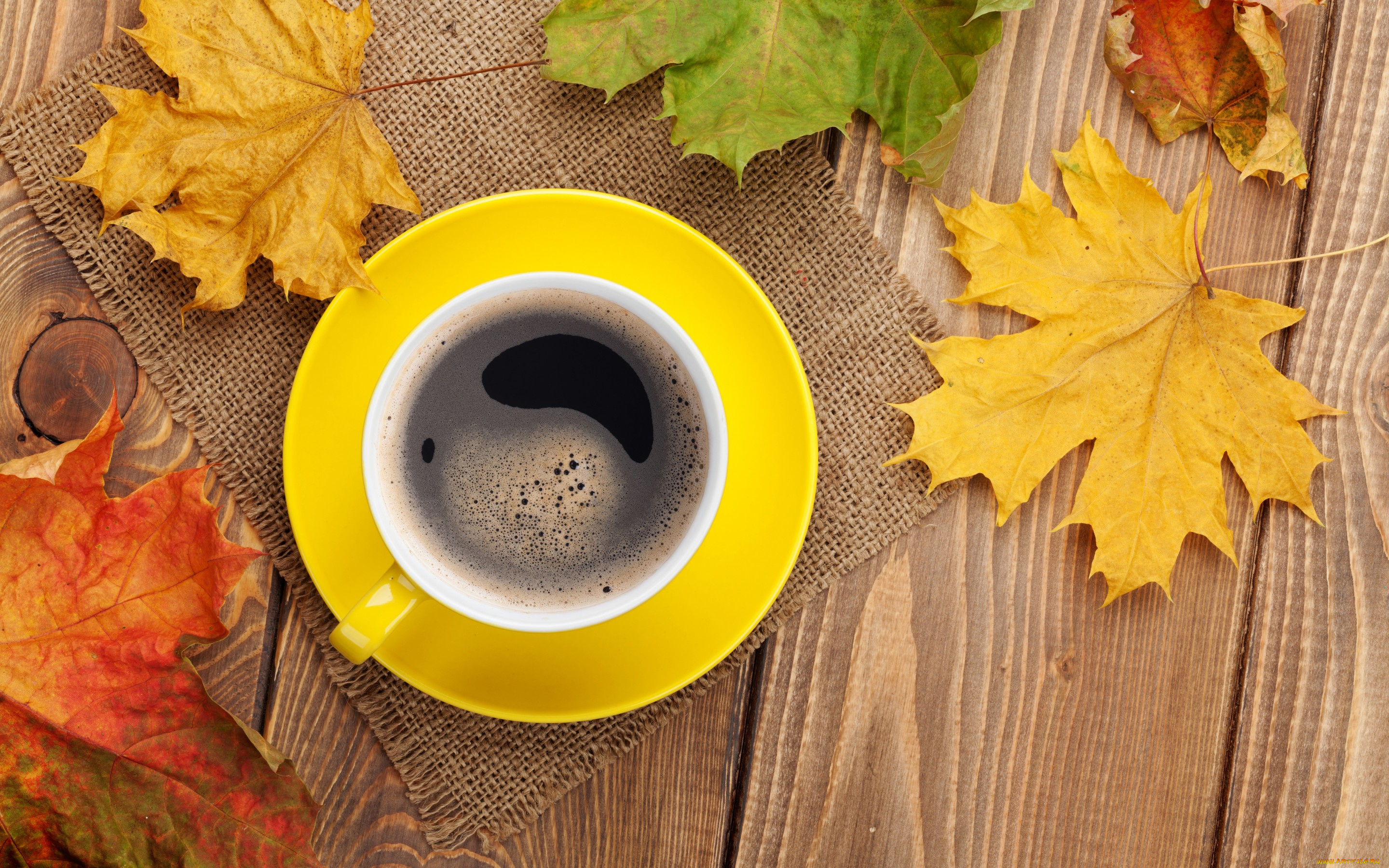 еда, кофе, , кофейные, зёрна, осень, осенние, листья, клён, чашка, maple, cup, leaves, coffee, fall, autumn