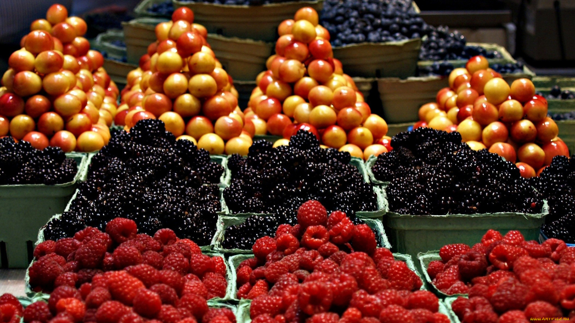 еда, фрукты, , ягоды, много, ягоды, малина, ежевика