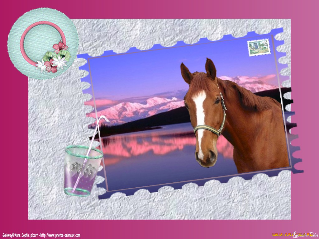 открытка, животные, лошади