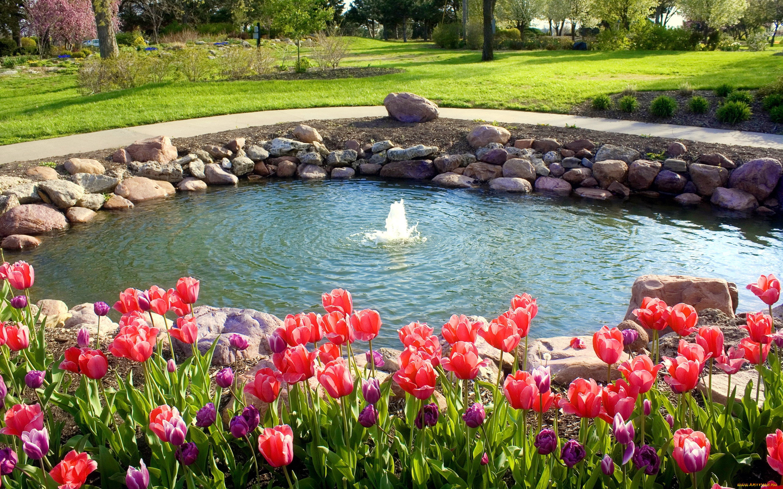 природа, парк, водоем, камни, фонтан, тюльпаны