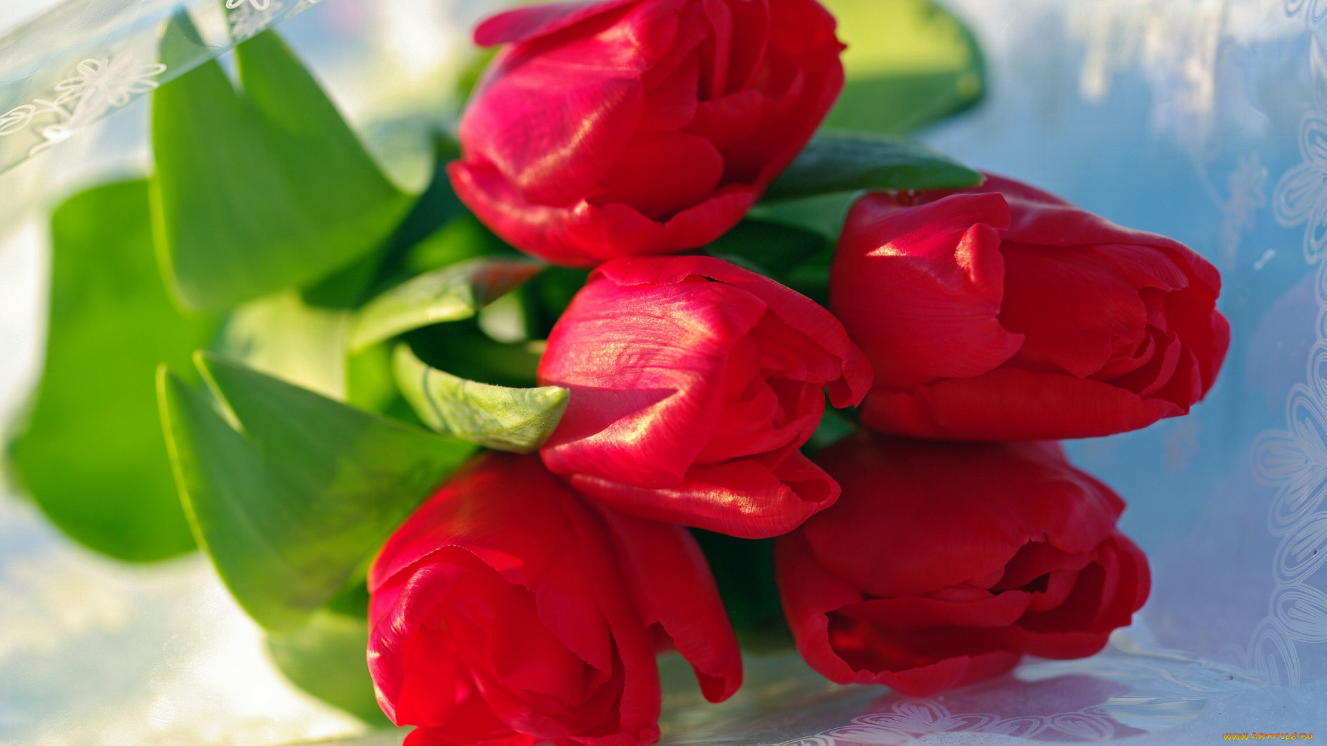 цветы, тюльпаны, букетик, букеты, весна, красный, цвет, красота, март, поздравления, флора
