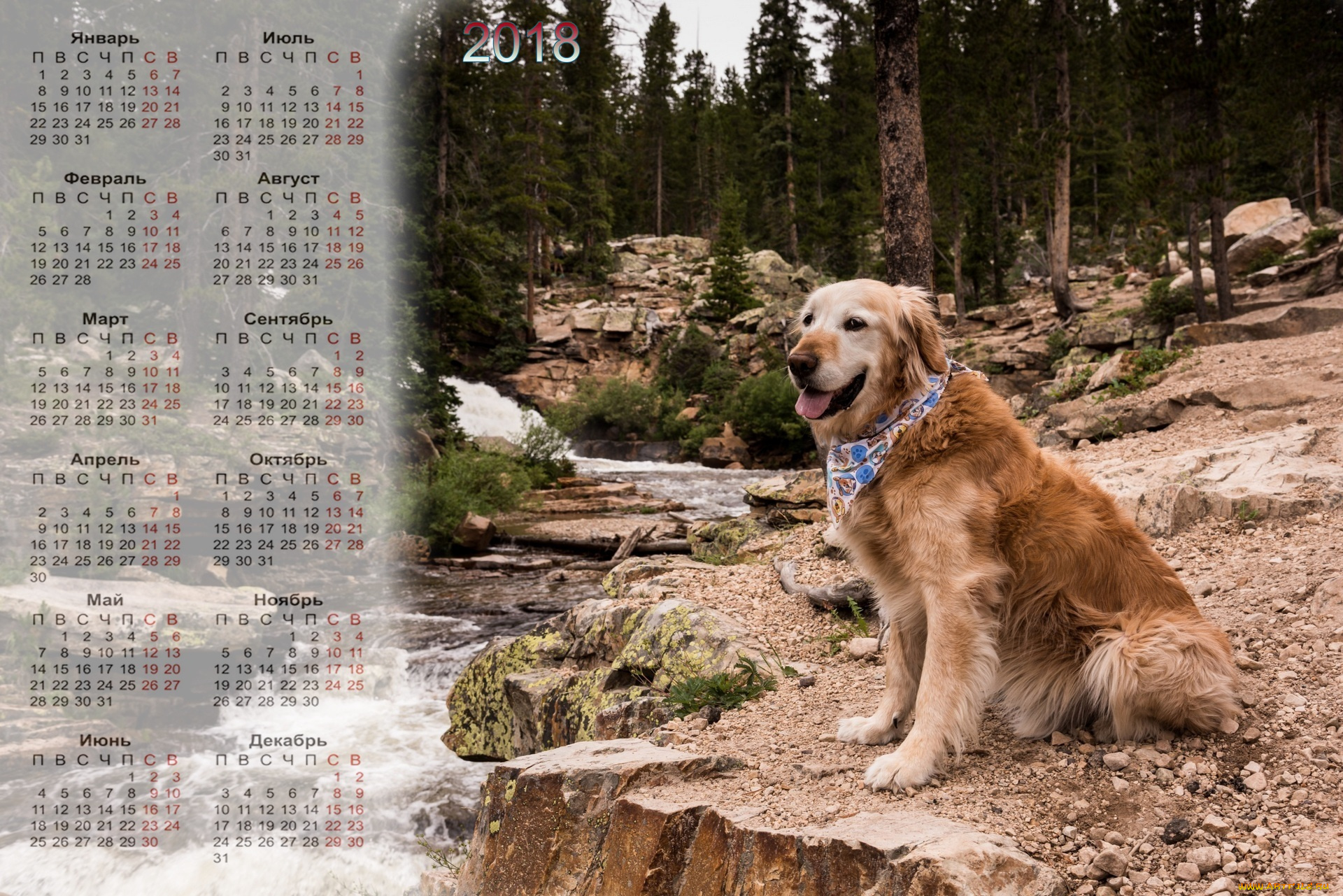календари, животные, собака, водоем, деревья