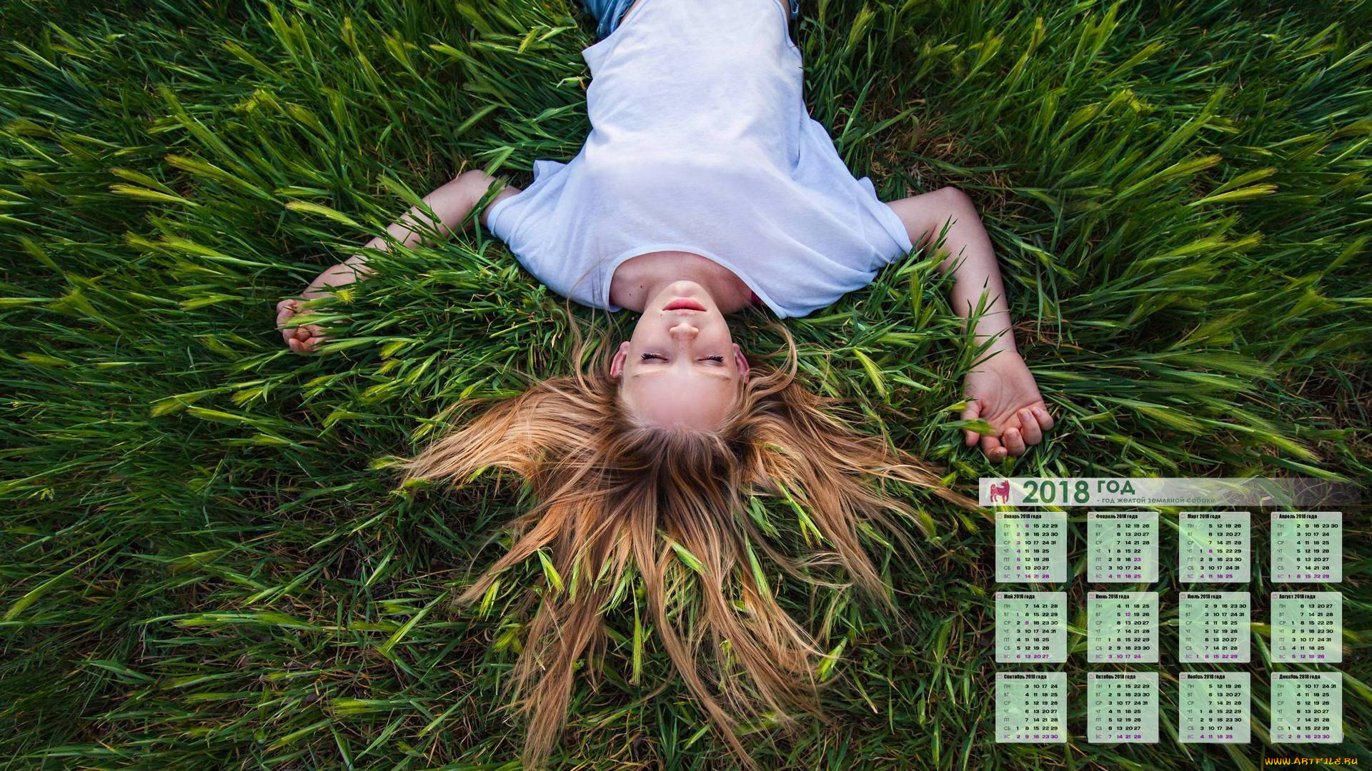 календари, девушки, отдых, волосы, трава