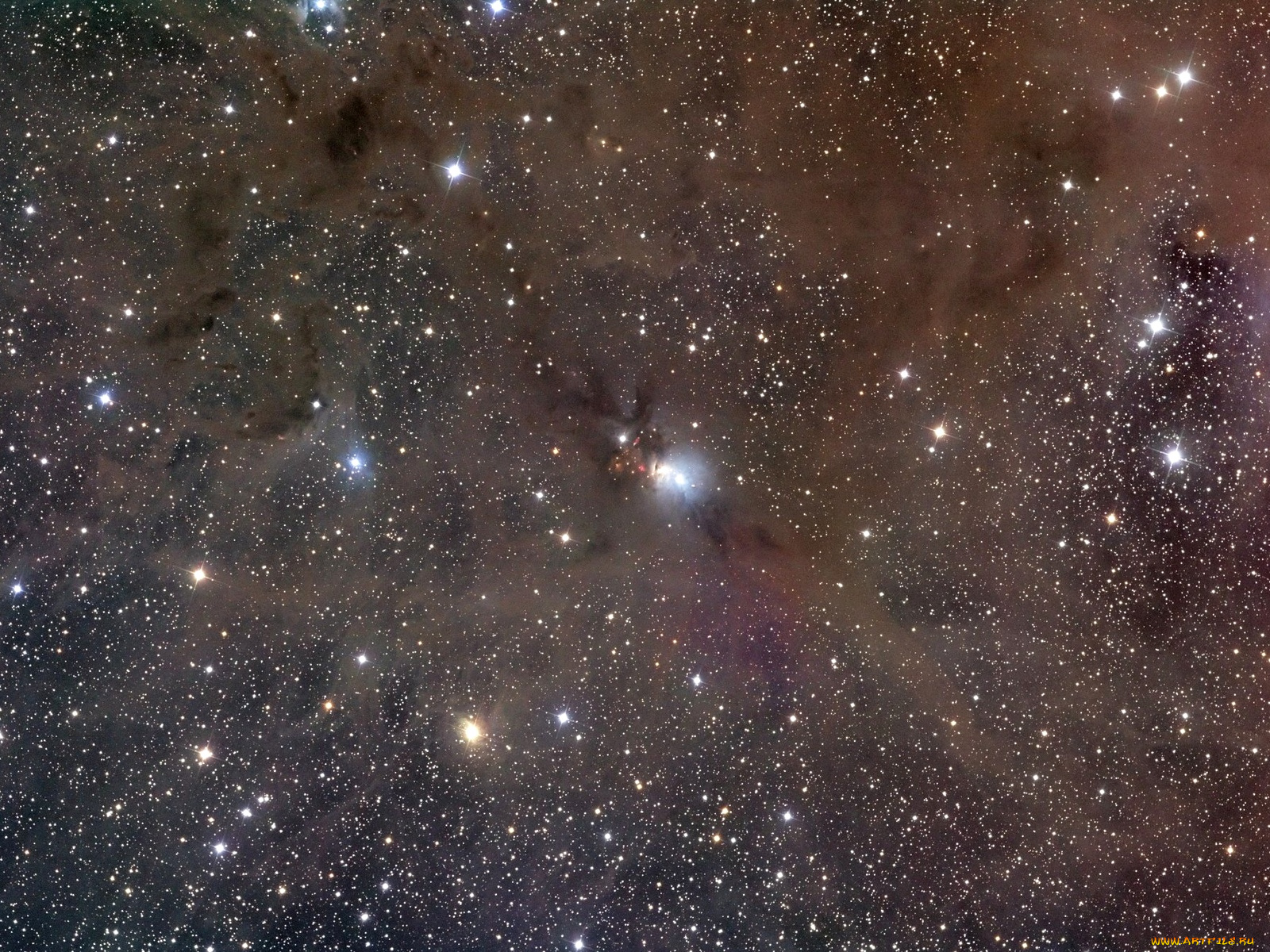 ngc1333, звездная, пыль, космос, звезды, созвездия