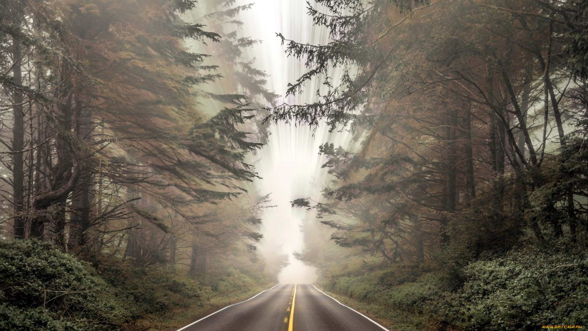 природа, дороги, туман, шоссе