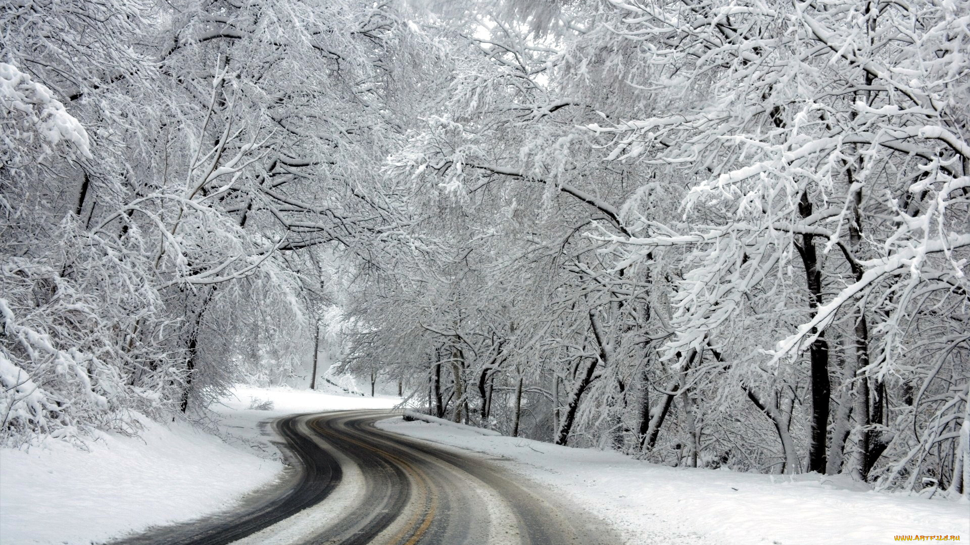 природа, дороги, зима, дорога, снег