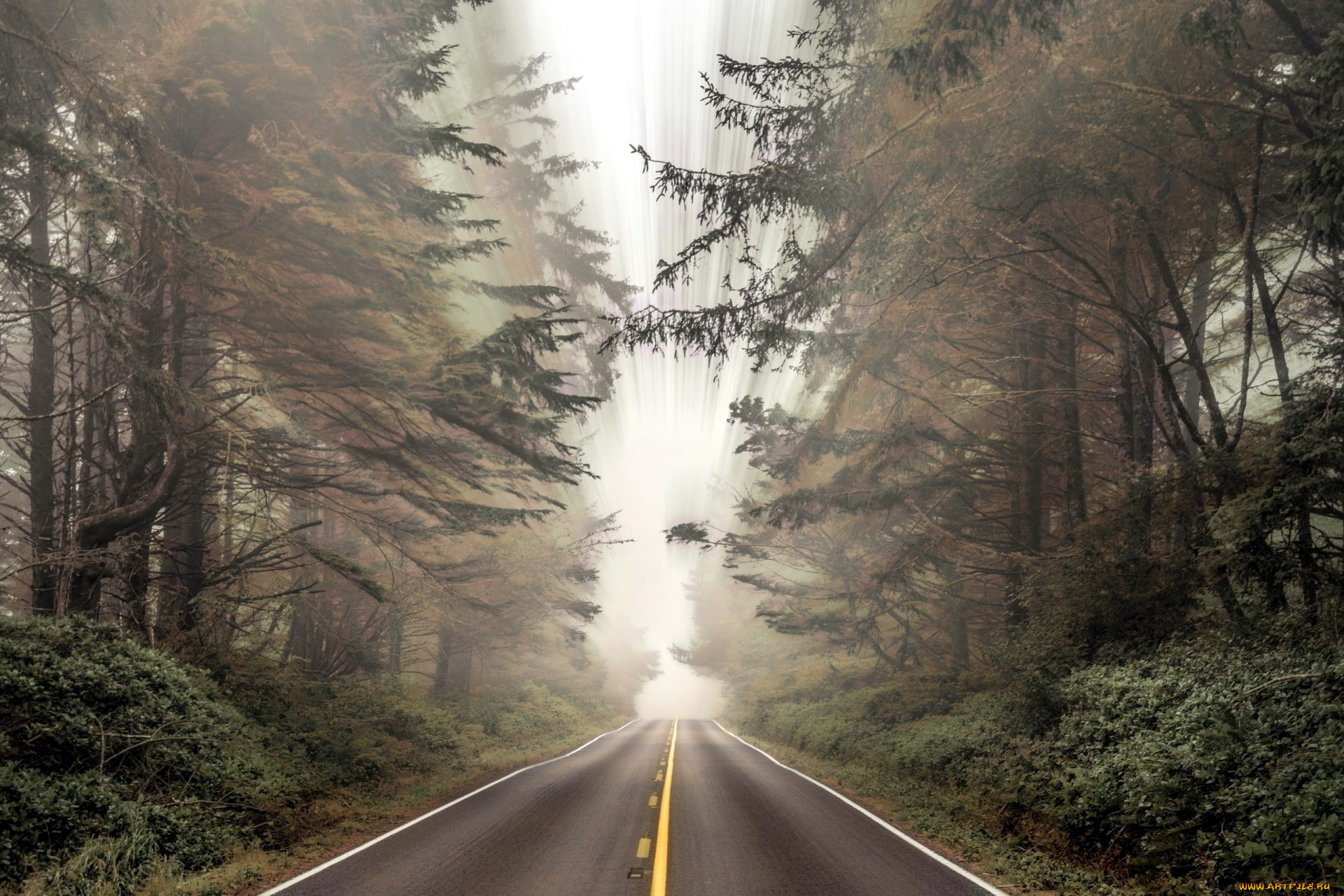 природа, дороги, туман, шоссе