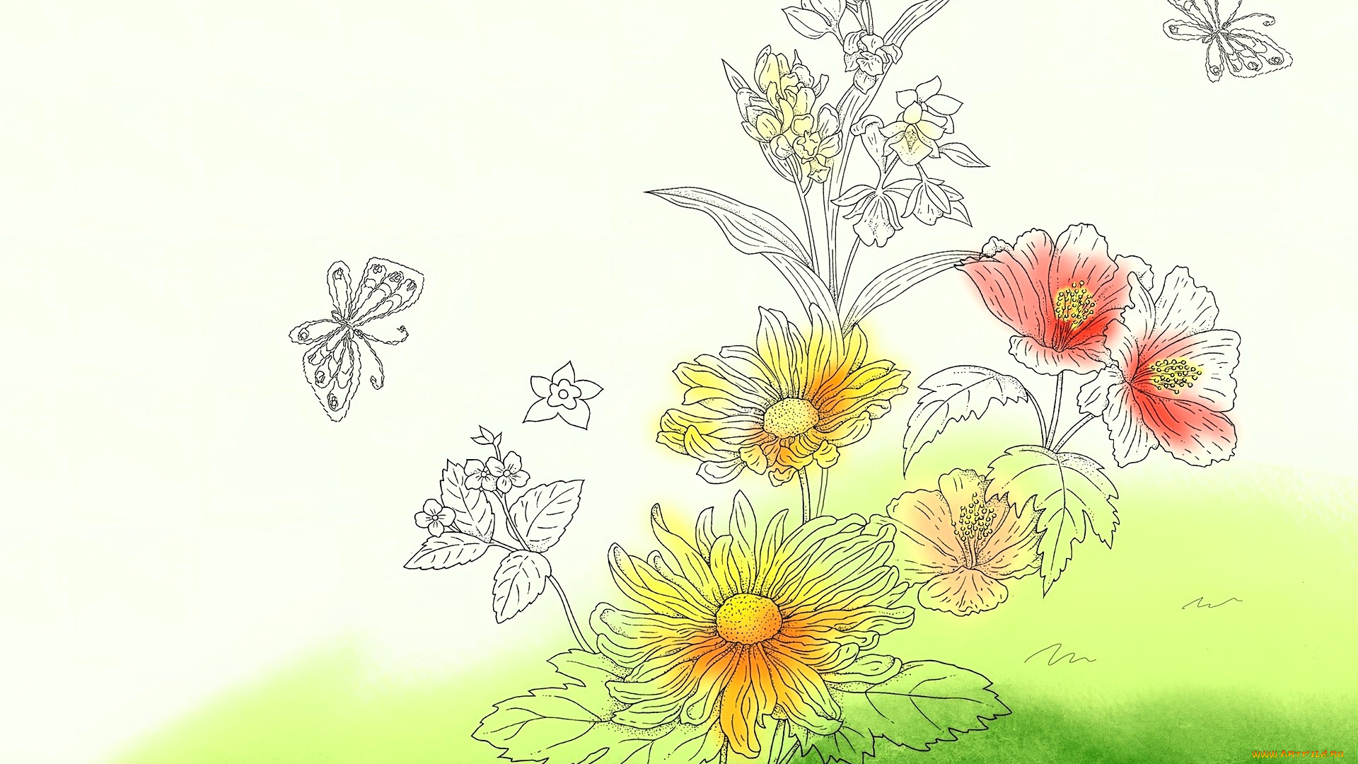 рисованное, цветы, бабочки