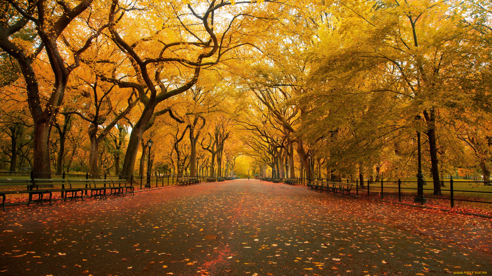 природа, парк, деревья, осень, скамейки, листья, дорожка