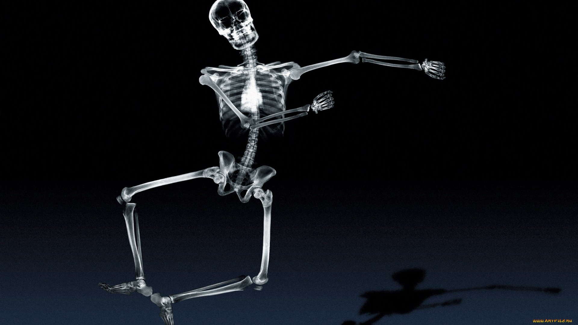 разное, кости, рентген, тень, танцует, скелет