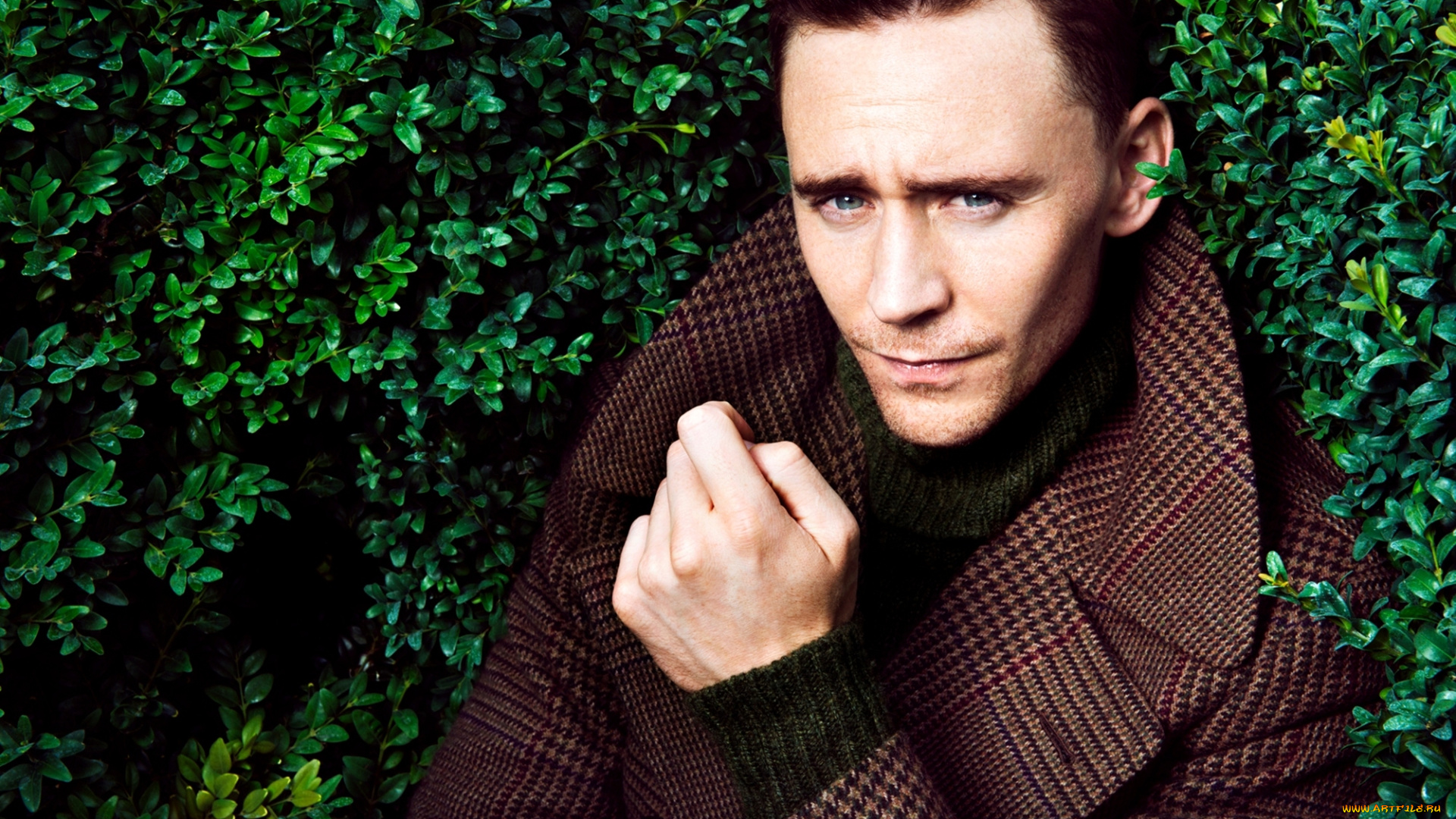 мужчины, tom, hiddleston, том, хидлстон, зелень, листья, актёр, лицо, портрет
