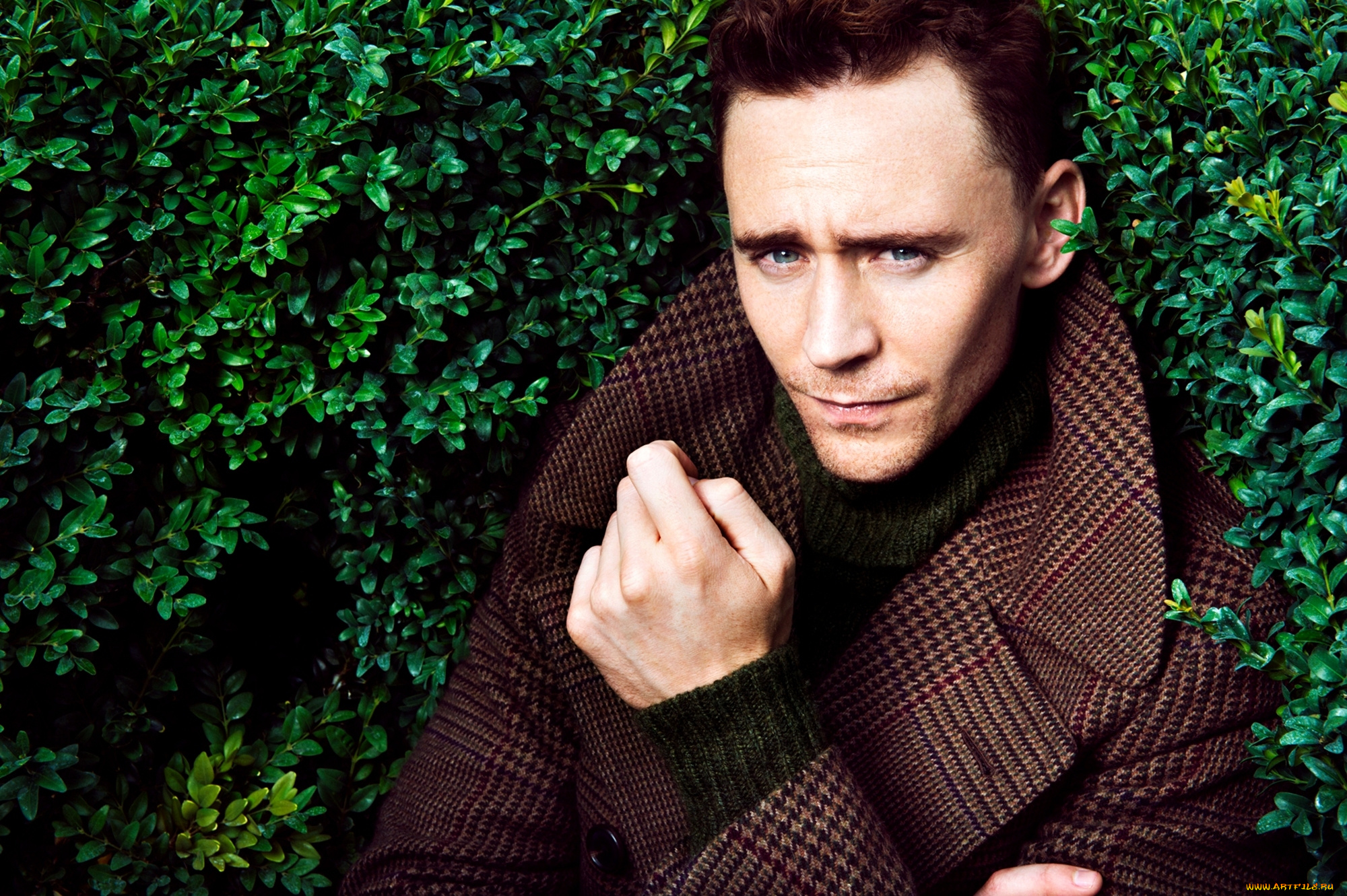 мужчины, tom, hiddleston, том, хидлстон, зелень, листья, актёр, лицо, портрет
