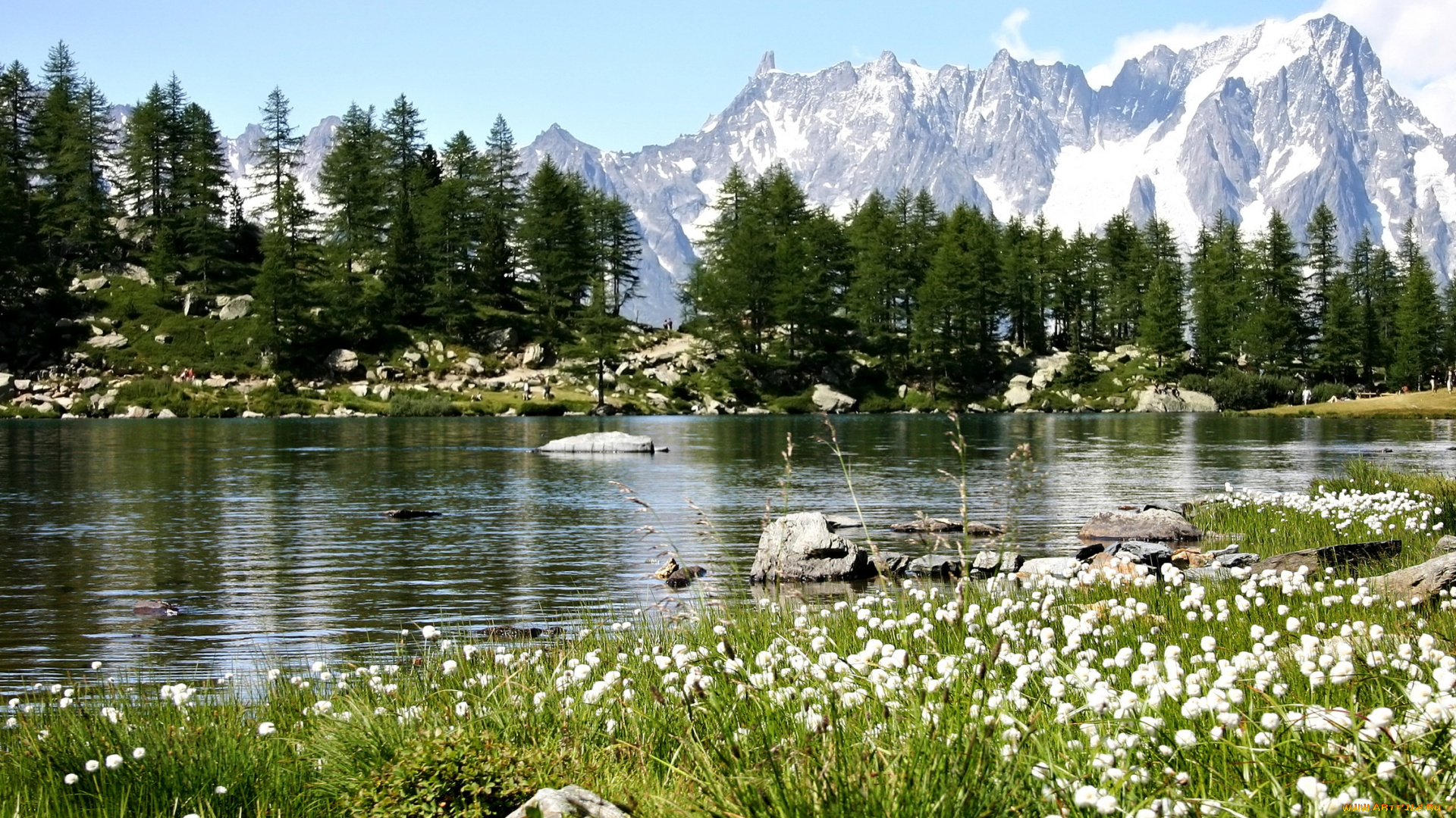 arpy, lake, италия, природа, реки, озера, деревья, цветы, горы, италия, озеро