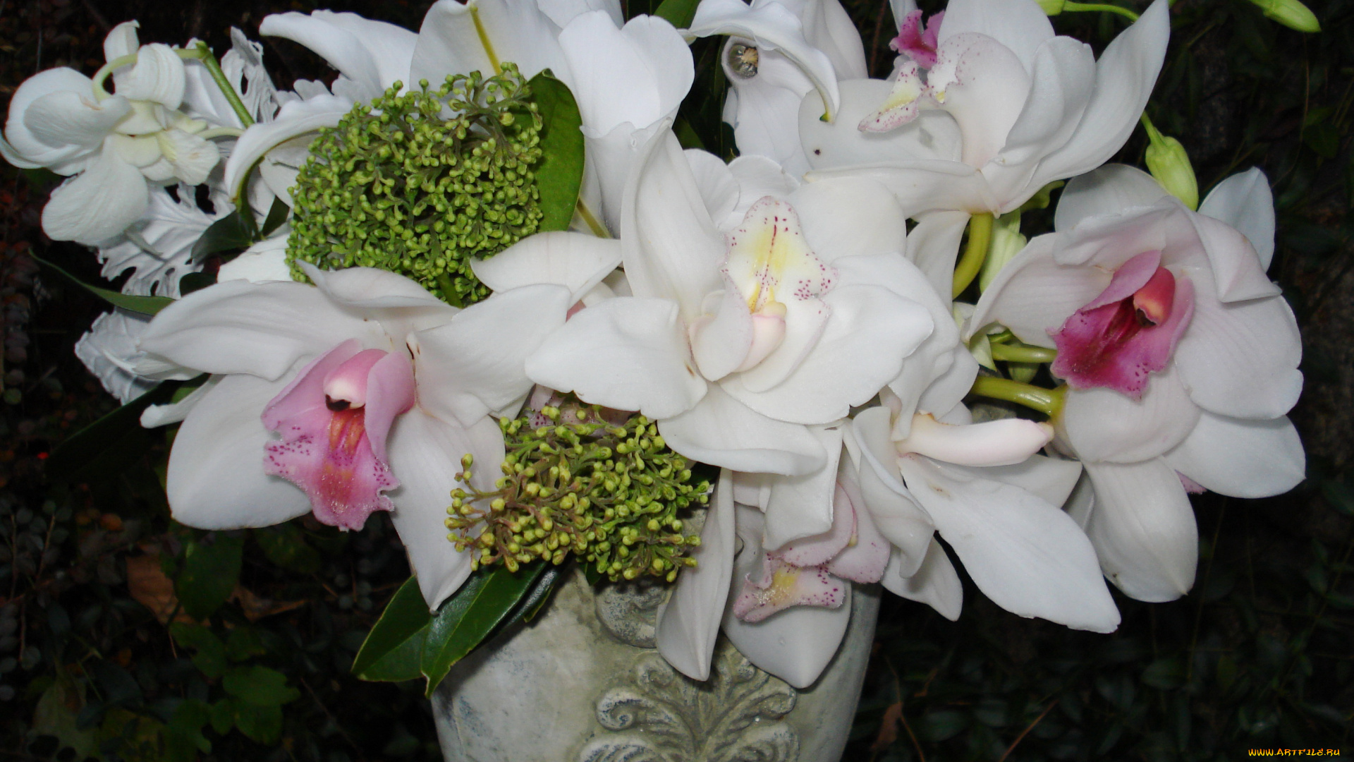цветы, букеты, композиции, орхидеи