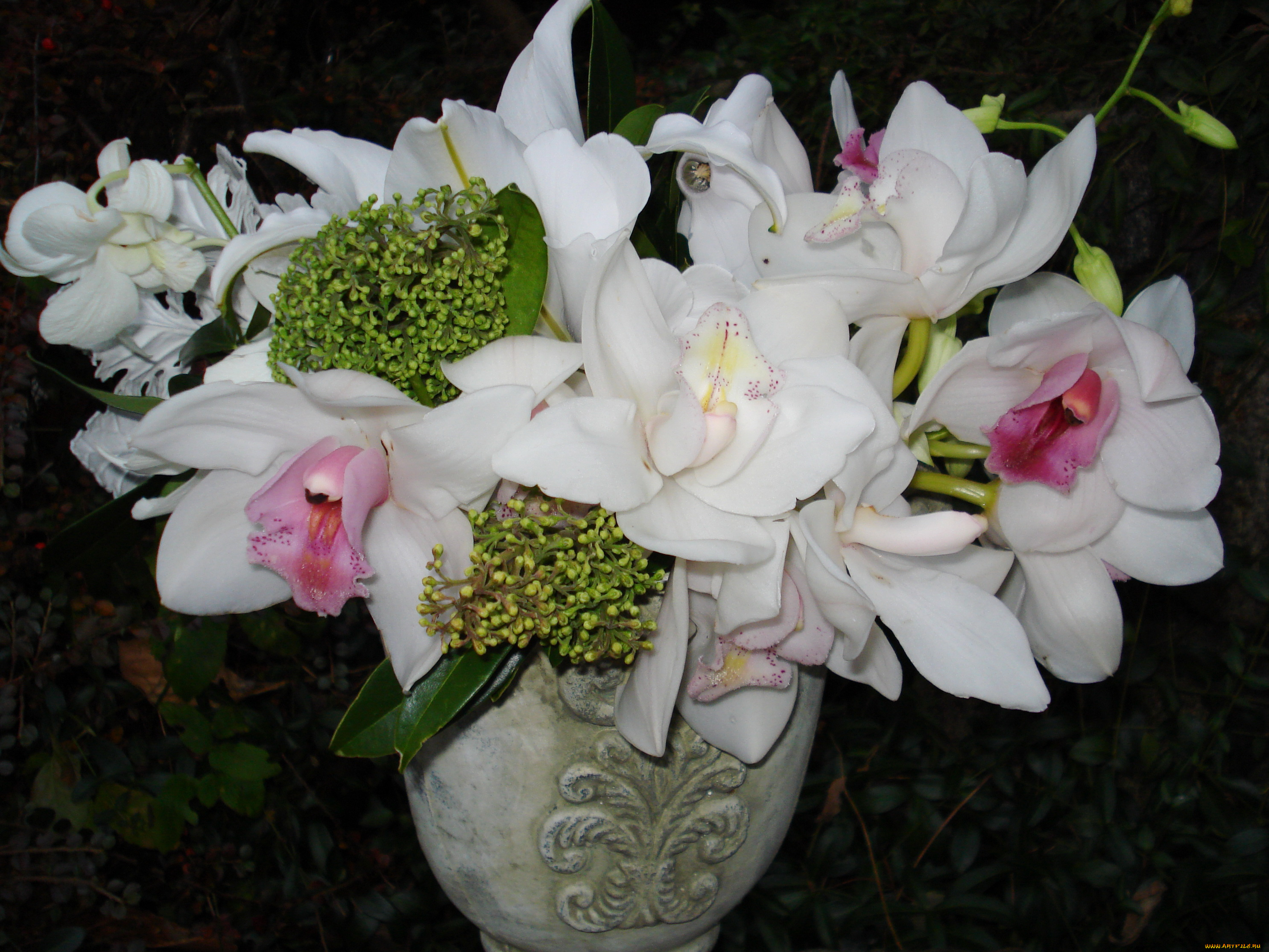 цветы, букеты, композиции, орхидеи
