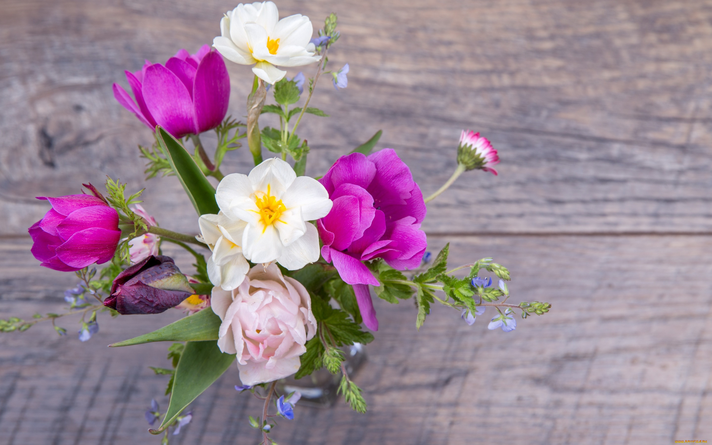 цветы, букеты, , композиции, весна, colorful, wood, pink, тюльпаны, tulips, бутоны, букет, spring, flowers