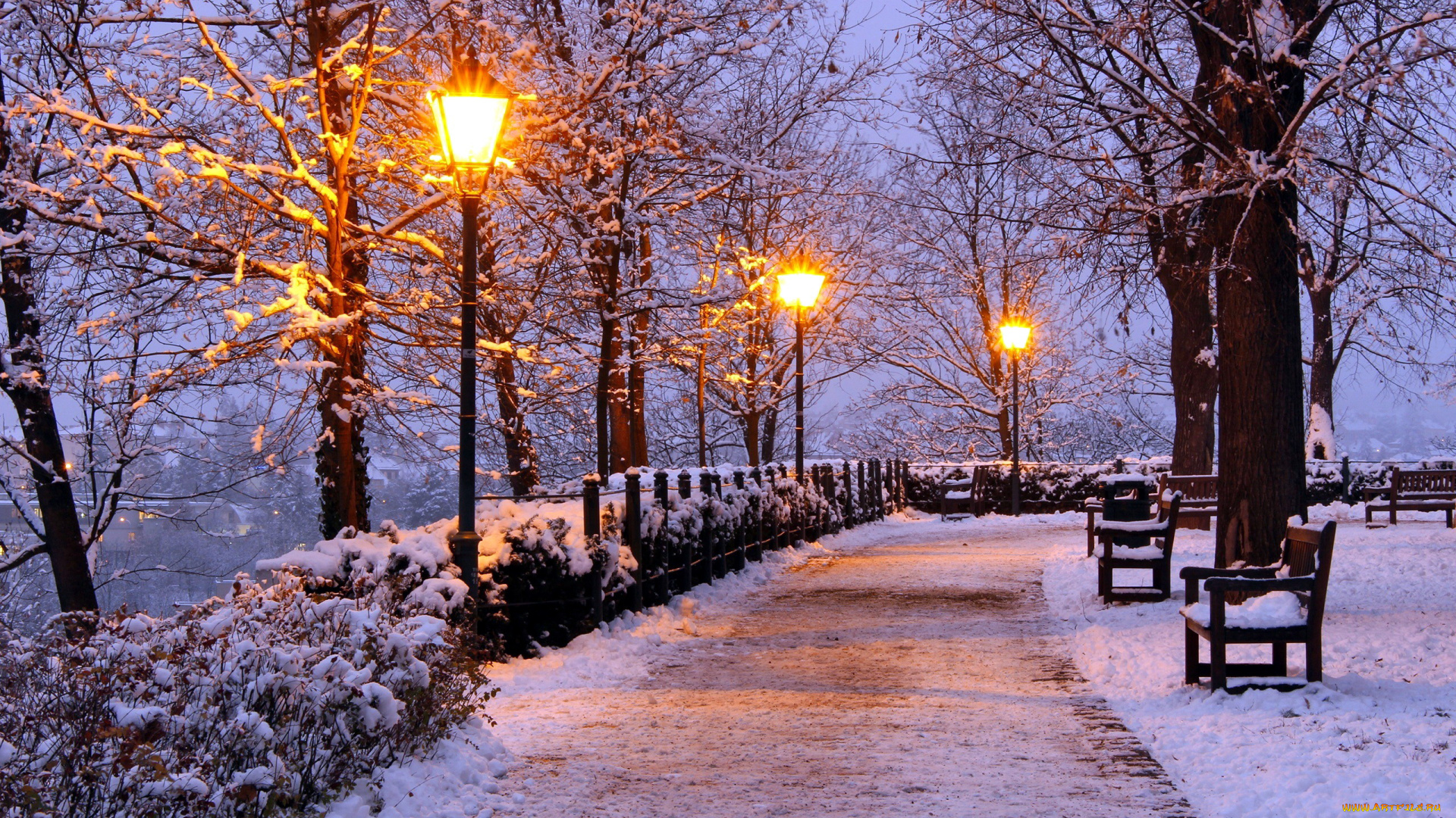 природа, парк, зима, вечер, фонари, снег