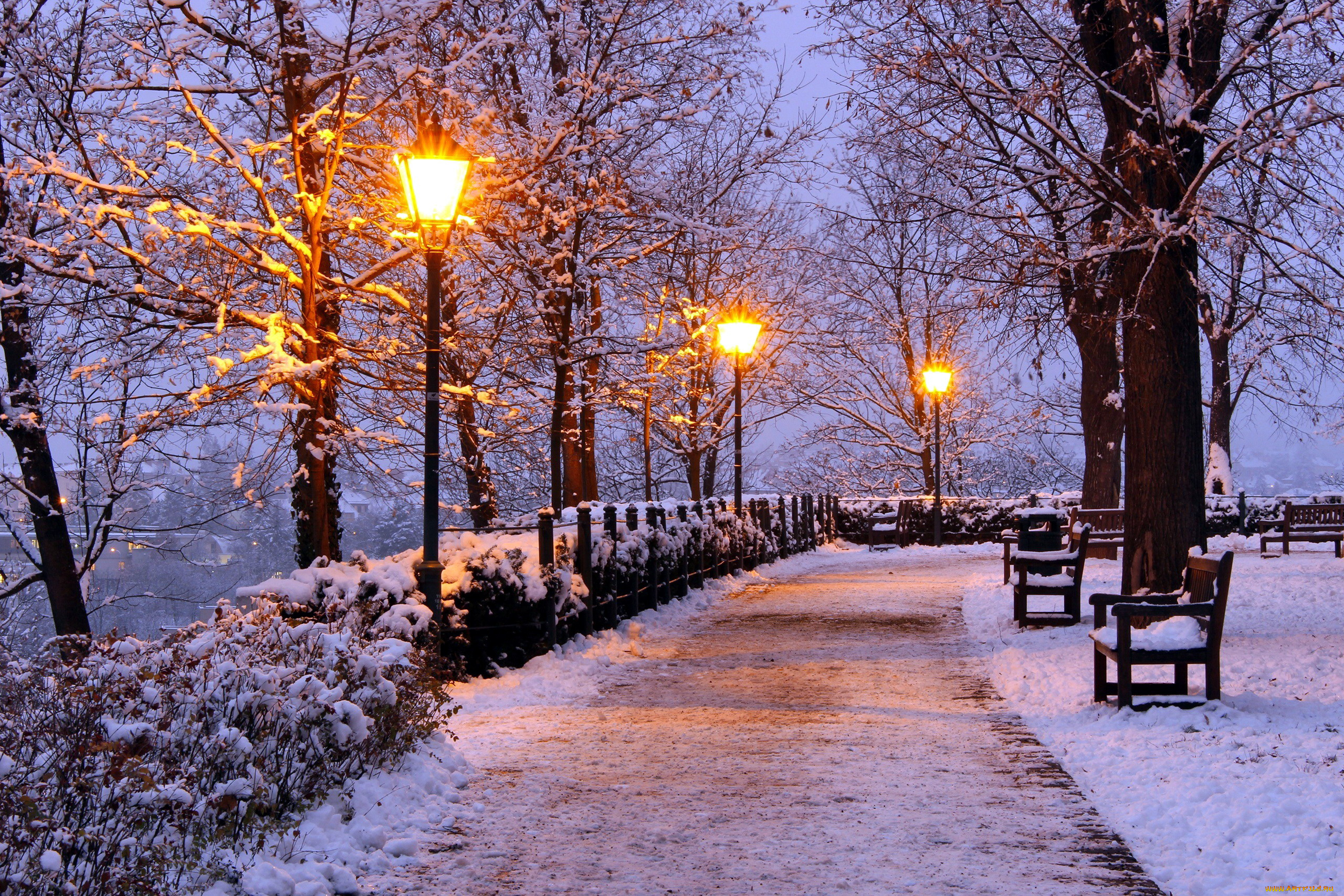 природа, парк, зима, вечер, фонари, снег