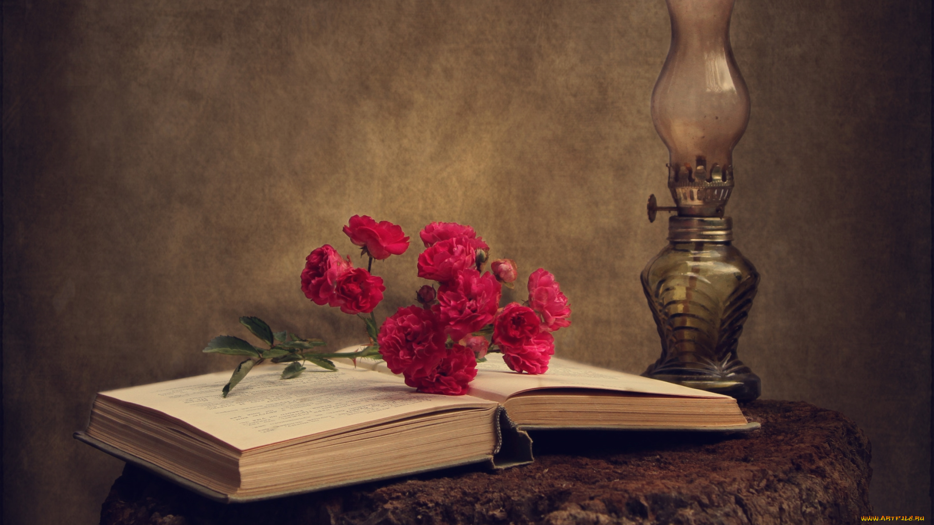 цветы, розы, книга, лампа