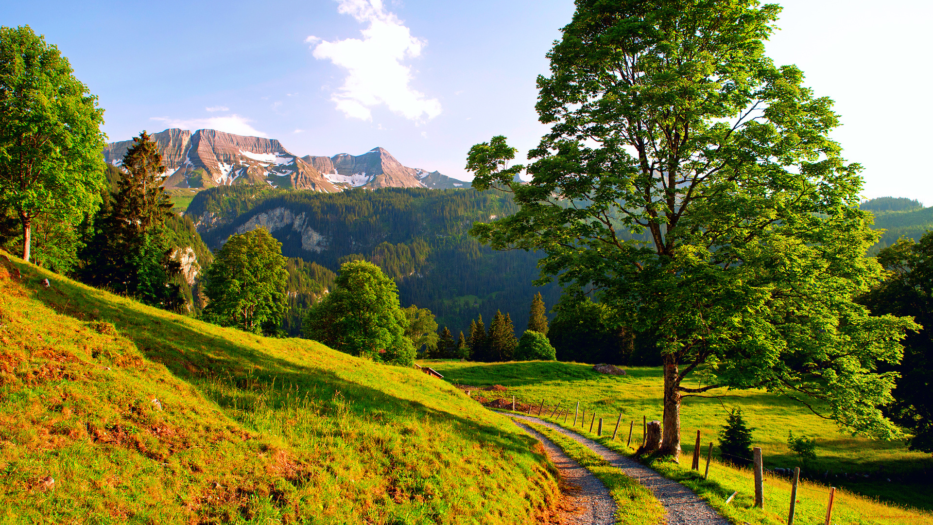 альпы, природа, дороги, швейцария, лето, горы, леса, дерево, дорога