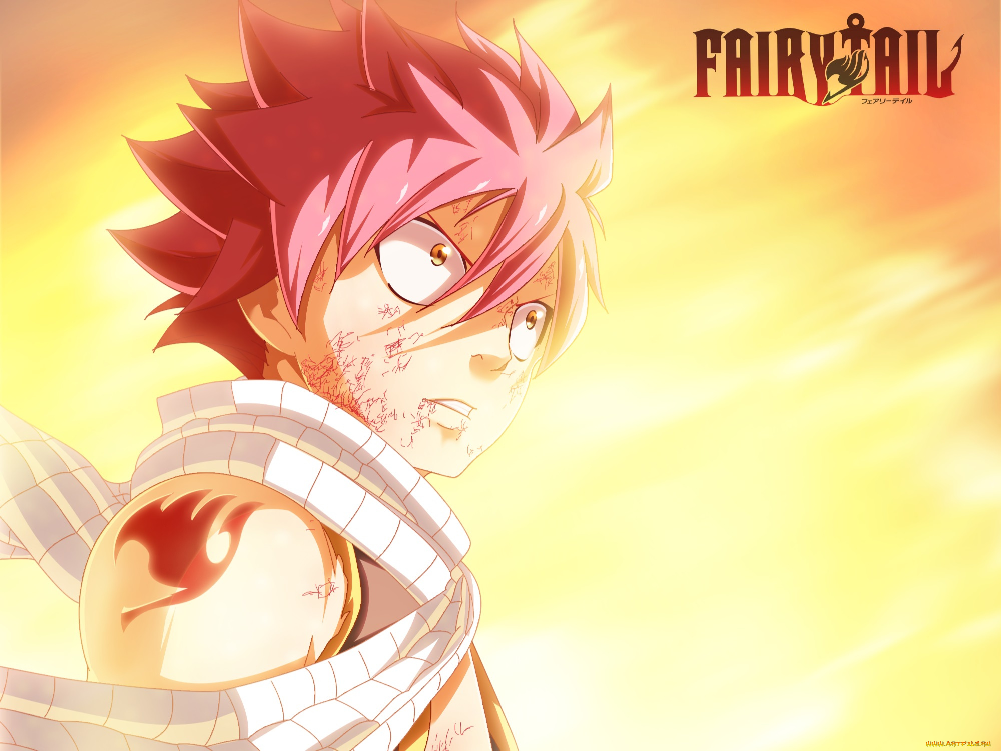 аниме, fairy, tail, fairy, tail