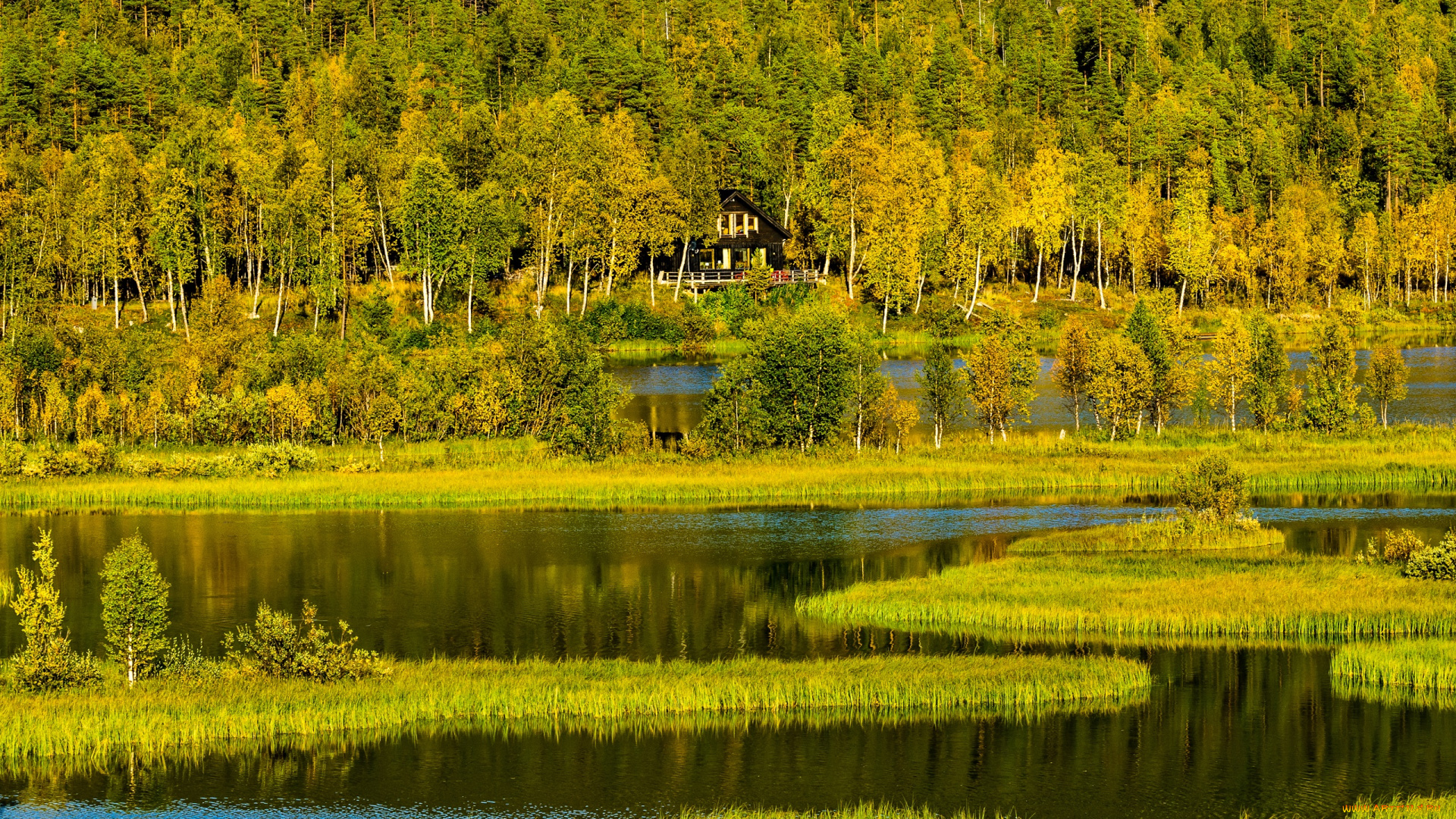 природа, реки, озера, трава, осень, холмы, горы, деревья, лес, дом, озеро, норвегия