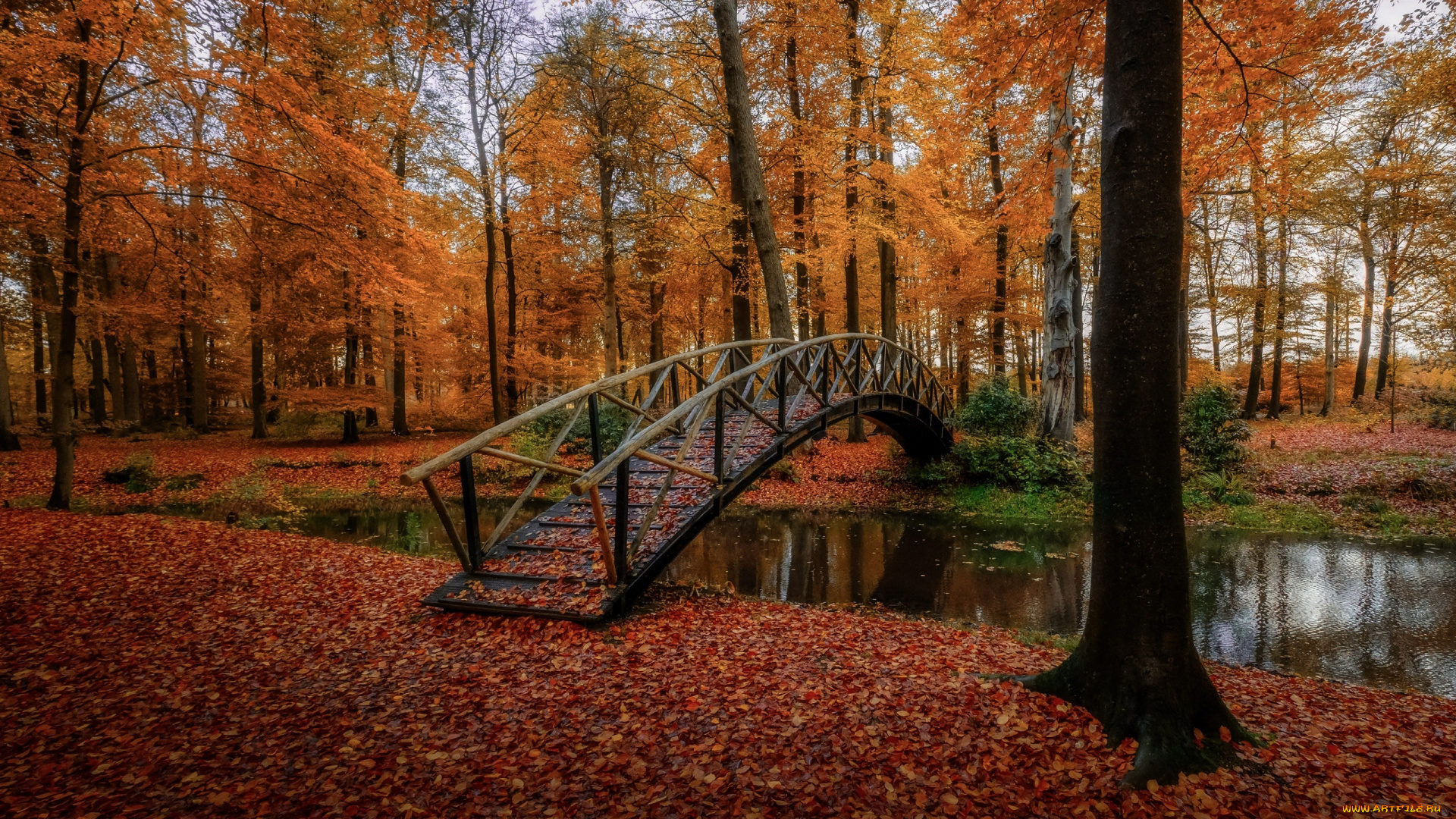 природа, парк, осень, листопад, водоем, мостик